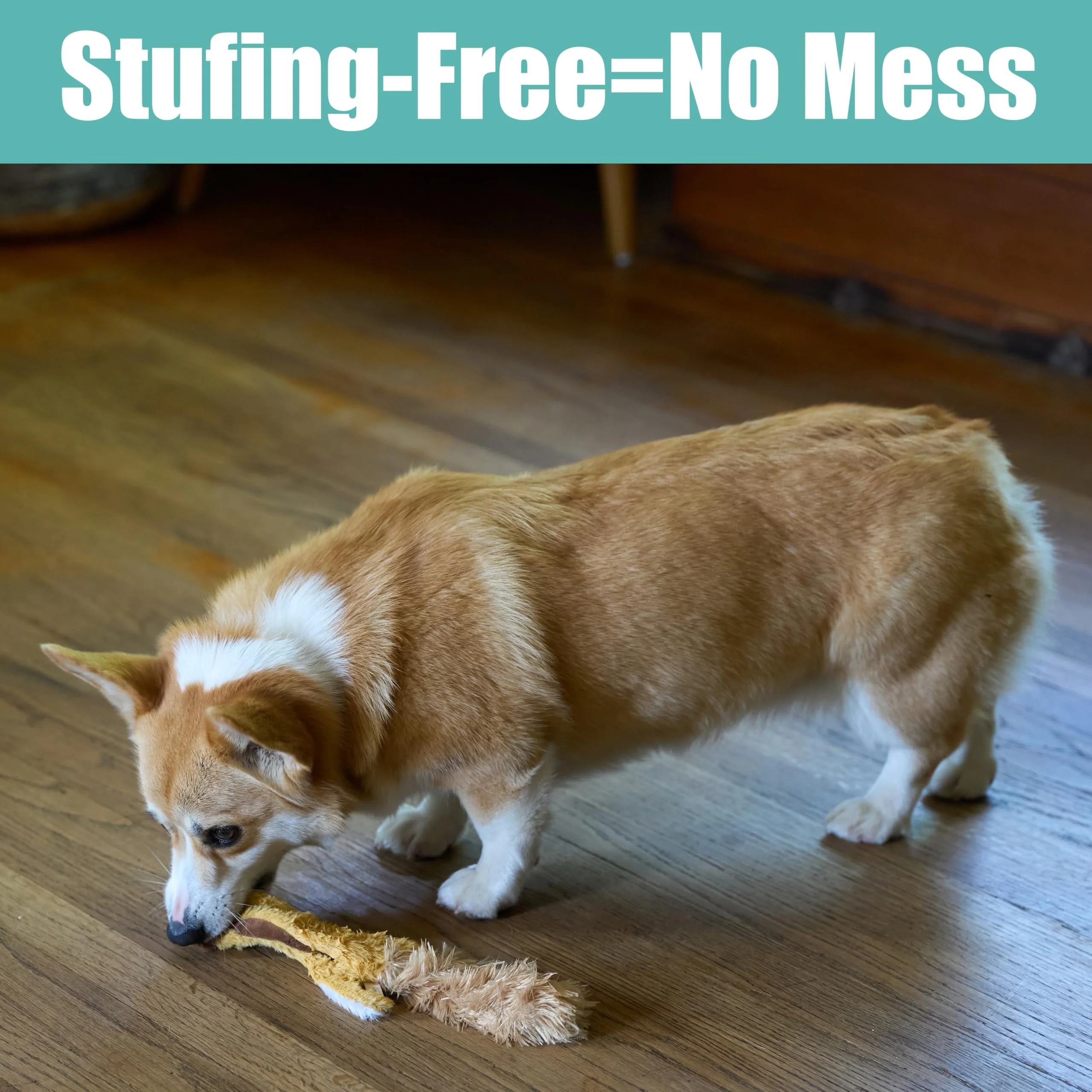 SPOT Skinneeez Flying Squirrel 14 Inch Stuffing-Free Plush Squeaky Dog Toy – Soft Tug-of-War Toy for Small and Medium Dogs – Mess-Free Interactive Chew Toy for Moderate Chewers - Image 10