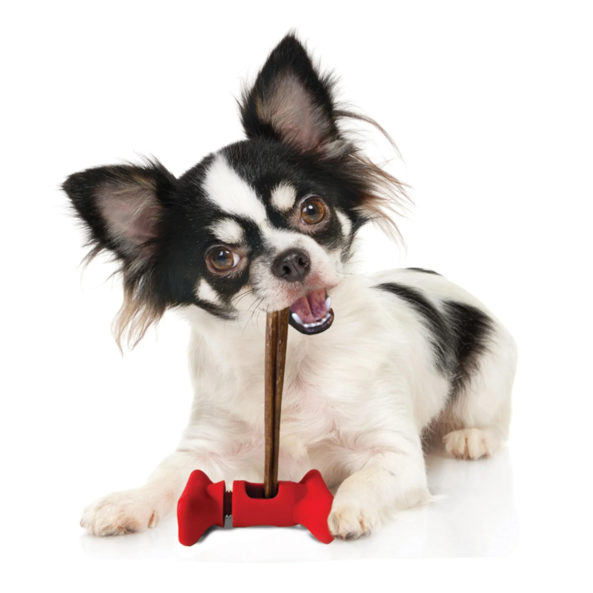 SPOT Treat Holder- Safety Device Bully Stick Holder & Yak Cheese Holder for Small and Medium Dogs, to Help Prevent Choking, 4.5in - Image 6