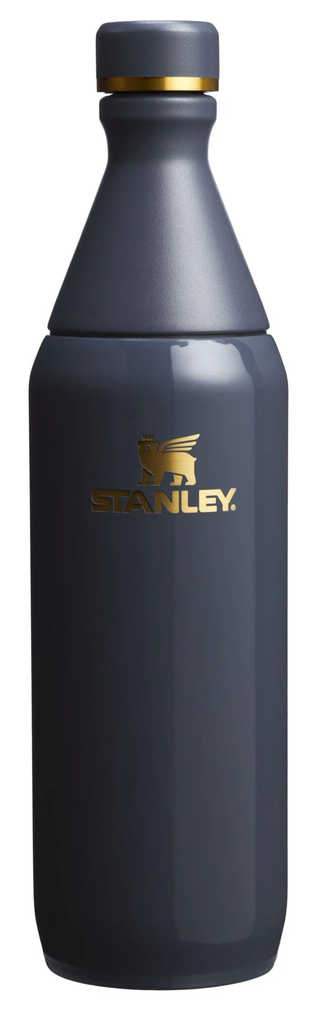 Stanley All Day Slim Bottle 20 oz | Twist off Lid with Leakproof Seal | Slim Design for Travel and Gym | Insulated Stainless Steel Water Bottle | BPA-Free | Twilight Gloss