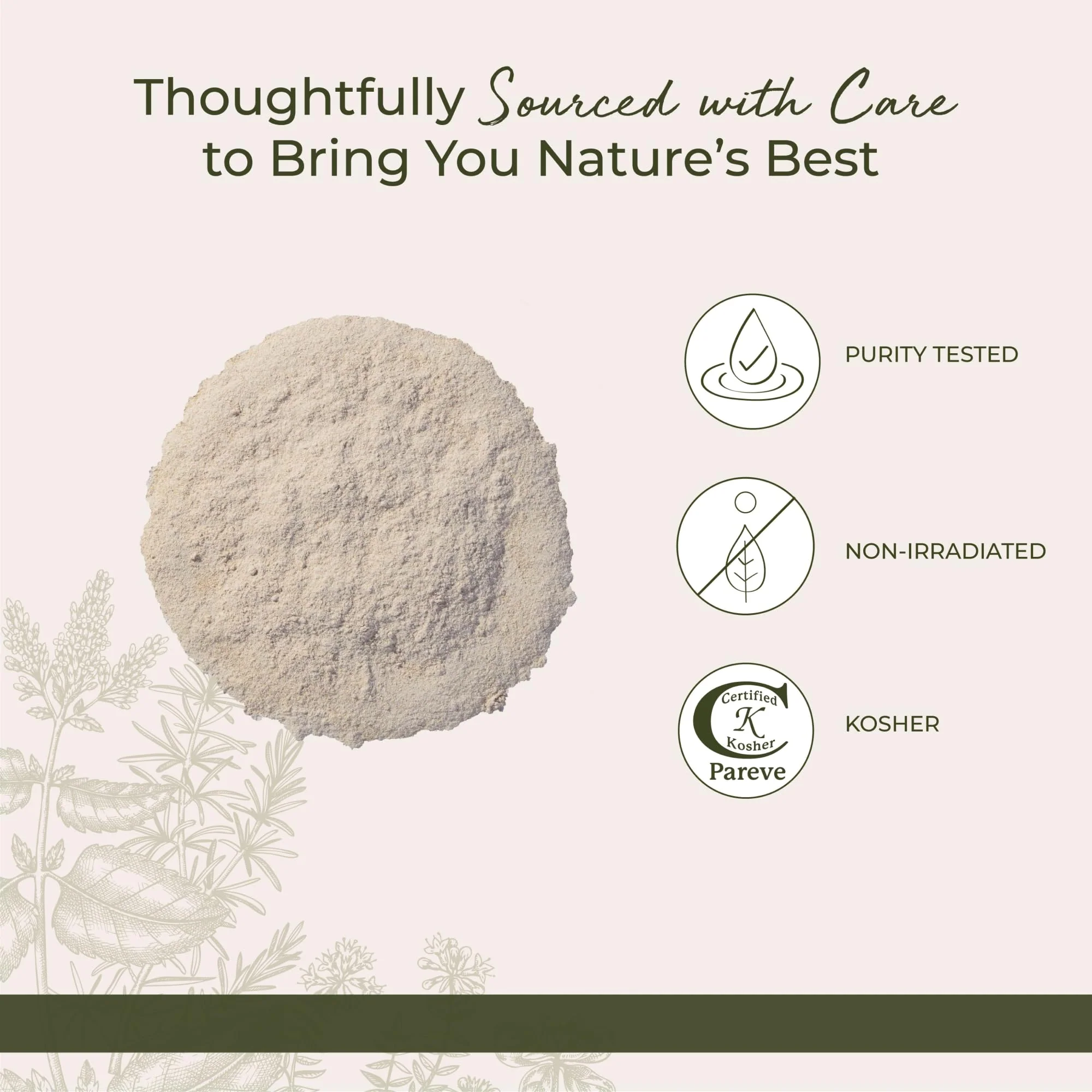 Starwest Botanicals Astragalus Root Powder, 1 Lb - Image 4