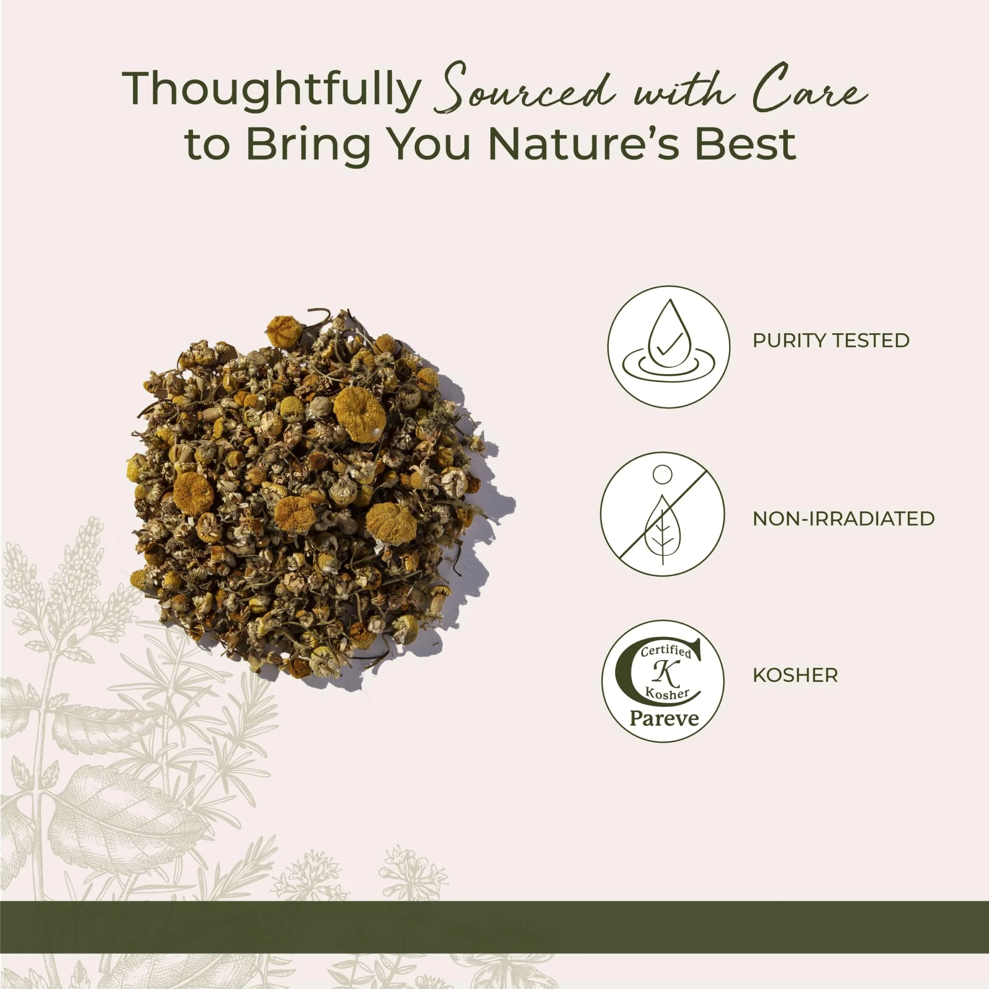 Starwest Botanicals Organic Chamomile Flowers Whole - Dried Loose Leaf Herb for Tea, Herbal Lotions, & Baking, Sourced from Egypt, Certified Kosher, Non-GMO - Bulk 1 lb Bag - Image 4