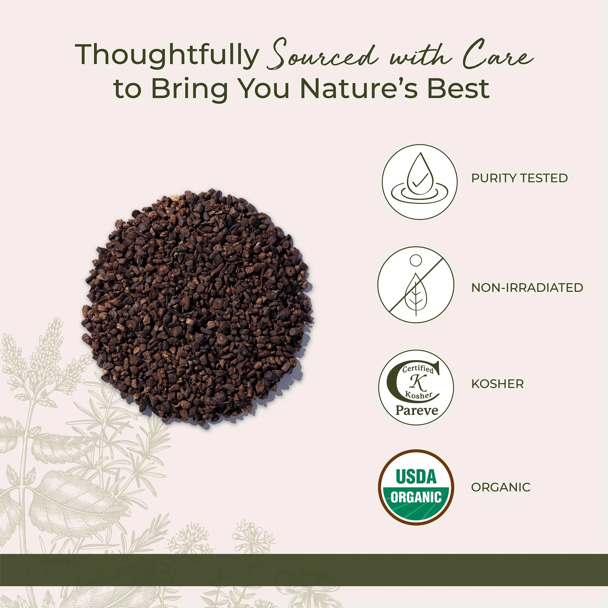 Starwest Botanicals Organic Roasted Dandelion Root - Loose Leaf Herbal Tea, Cut & Sifted, Certified Kosher, Non-GMO, Caffeine-Free - Bulk 1 lb Bag - Image 4