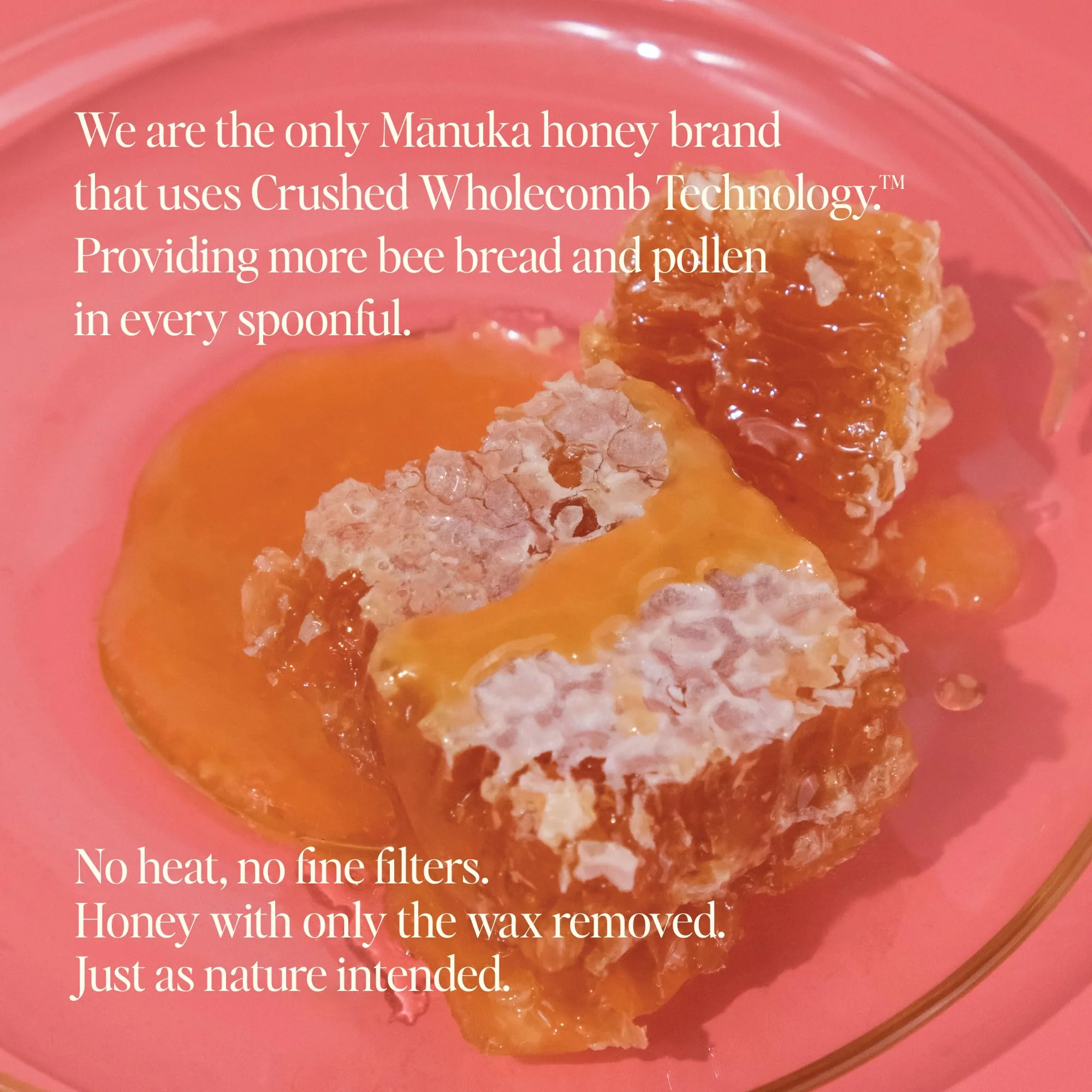 Steens Manuka Honey - MGO 515+ - Pure & Raw 100% Certified UMF 15+ Manuka Honey - Bottled and Sealed in New Zealand - 17.6 oz - Image 7