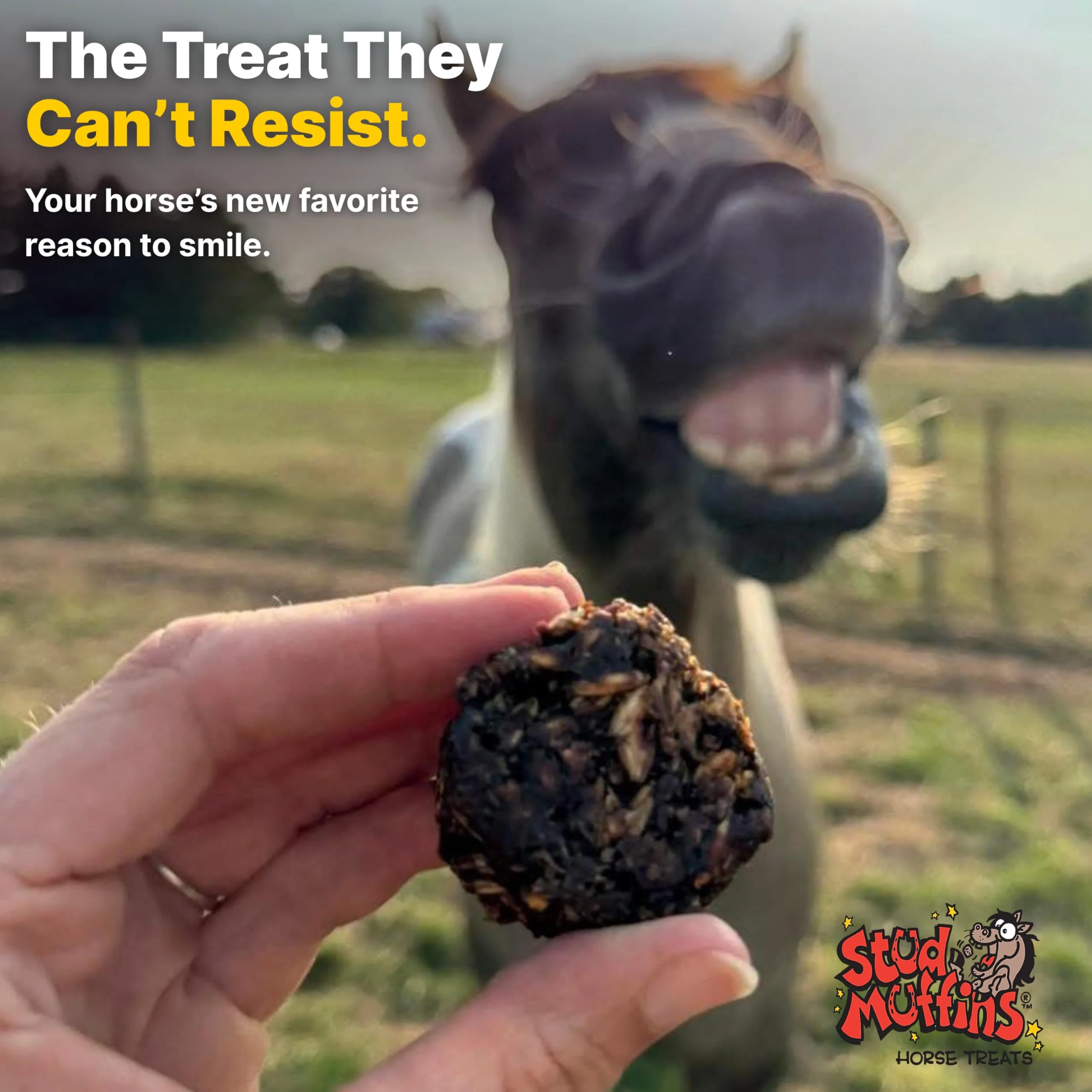 Stud Muffins 5.8lb Horse Treats Bag/Stud Muffins are Great Training Treats and Horse Pill Pockets/Our Treats for Horses are All Natural Horse Treats/Durable 5.8lb Horse Treats Bulk Pack - Image 2