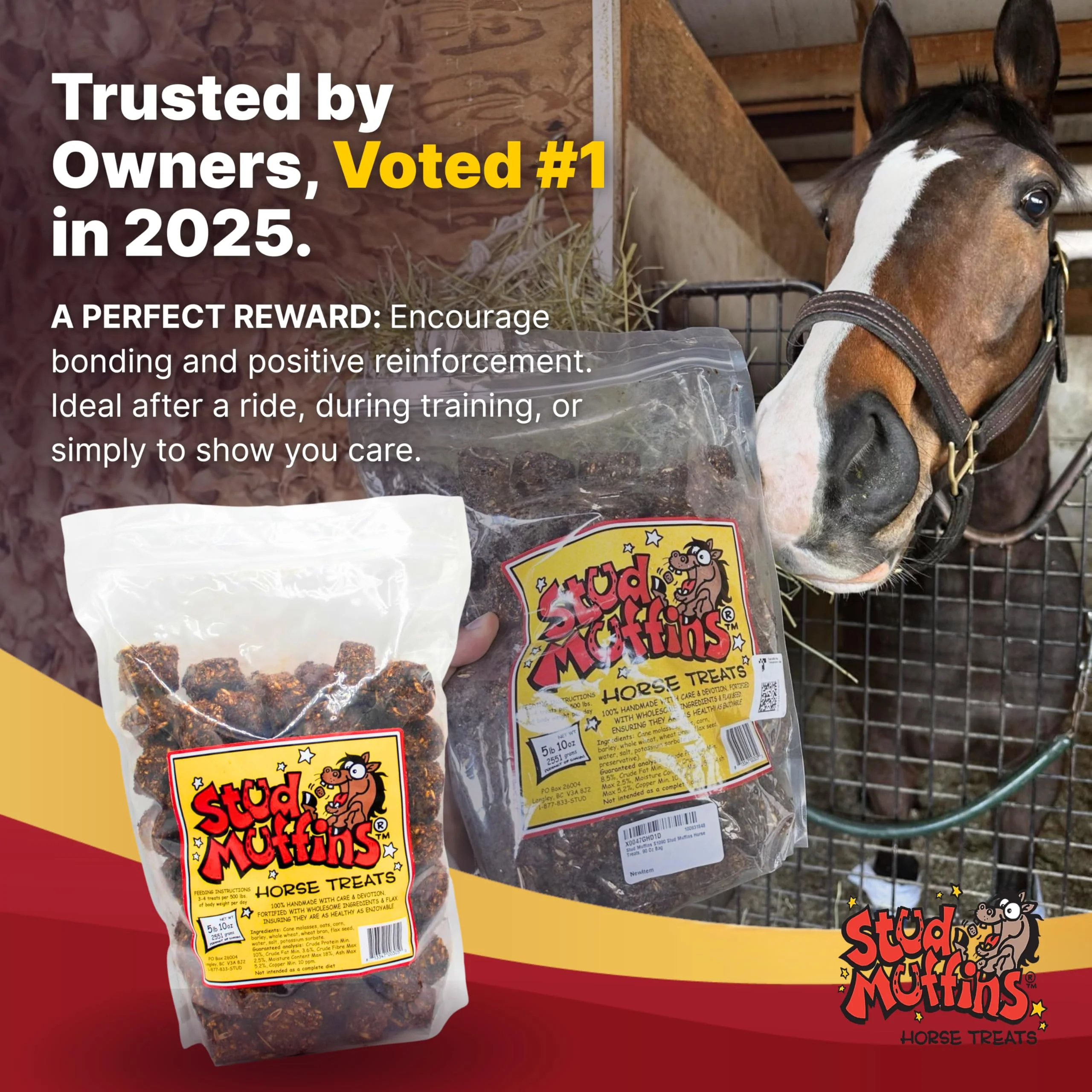 Stud Muffins 5.8lb Horse Treats Bag/Stud Muffins are Great Training Treats and Horse Pill Pockets/Our Treats for Horses are All Natural Horse Treats/Durable 5.8lb Horse Treats Bulk Pack - Image 3