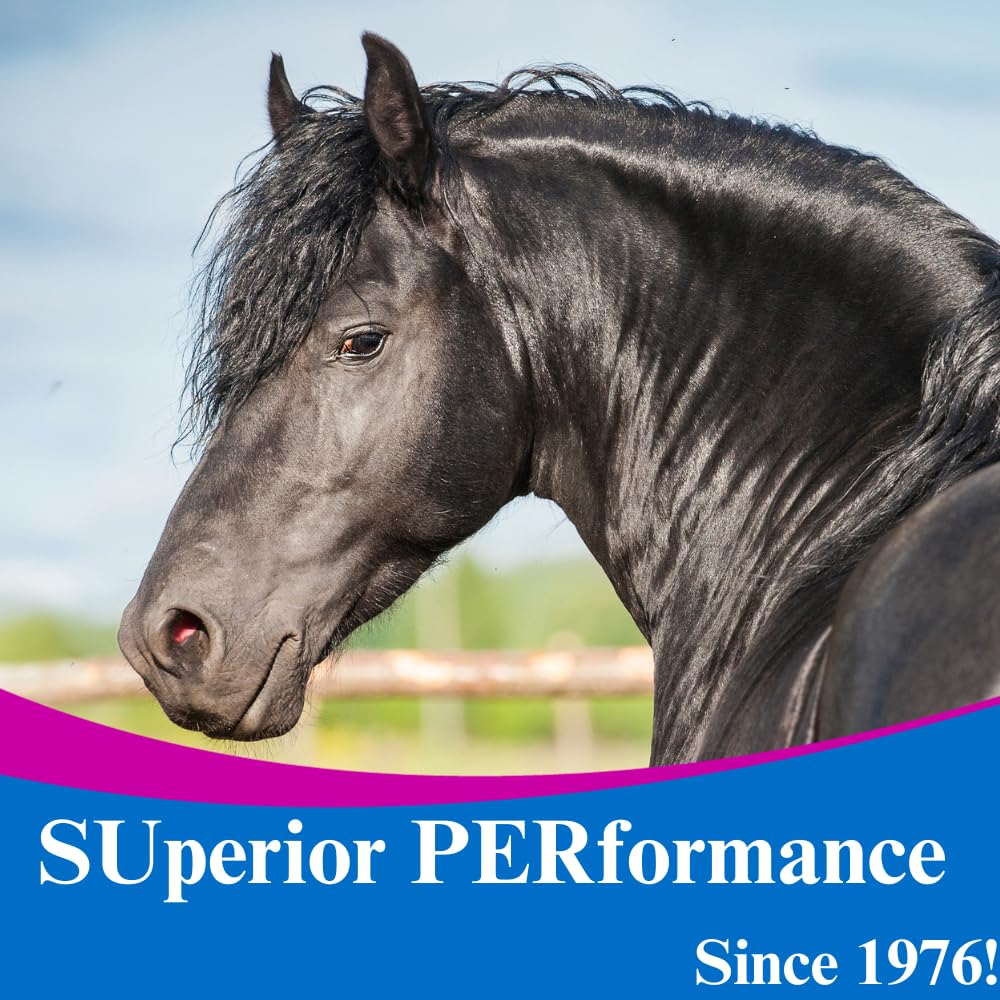 SU-PER DMG 3000 Horse Supplement - Training & Performance Support Powder - Supports Normal Cardiovascular Immune & Muscle Function - 2.5 Pounds - Image 2