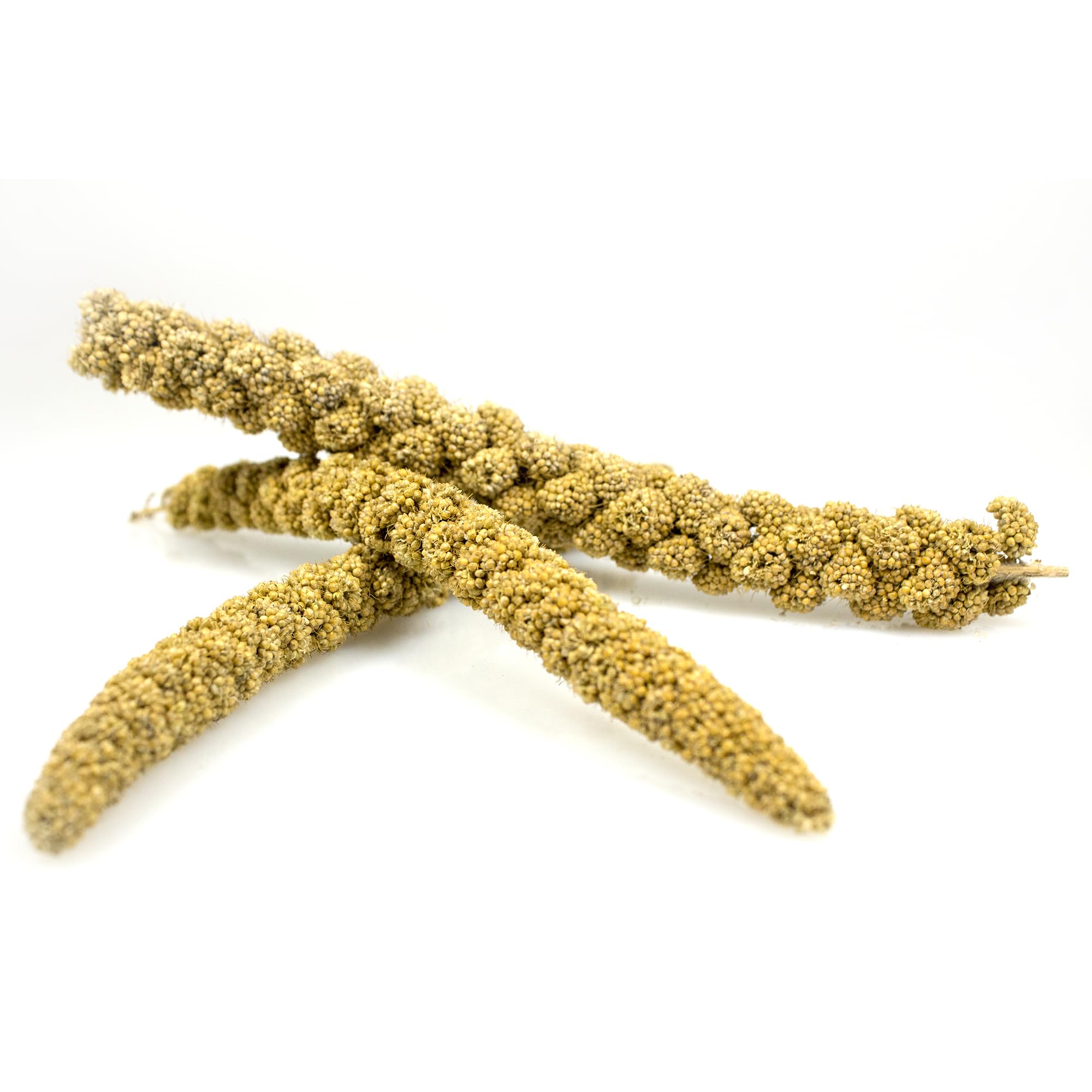 Sun Seed Company Millet Spray 4oz - Image 3
