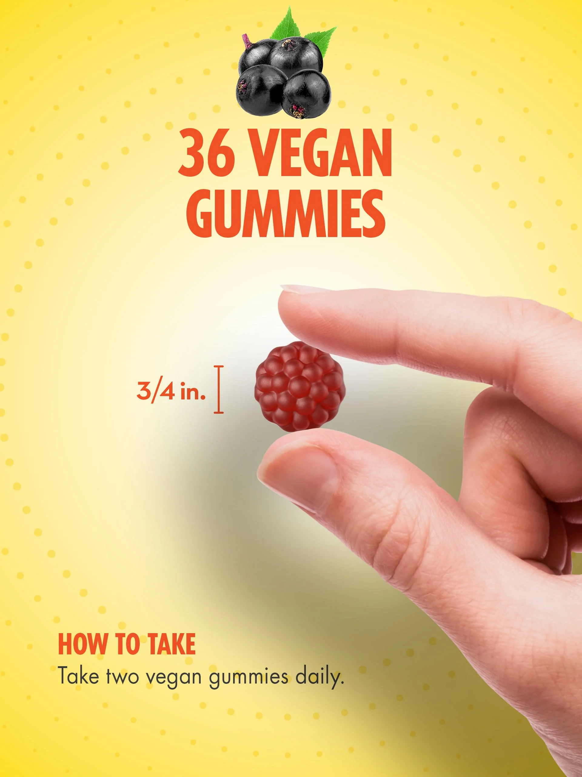 Sundance Elderberry Gummies for Adults | with Zinc & Vitamin C | Berry Flavor | Vegan, Non-GMO, and Gluten Free Supplement - Image 4