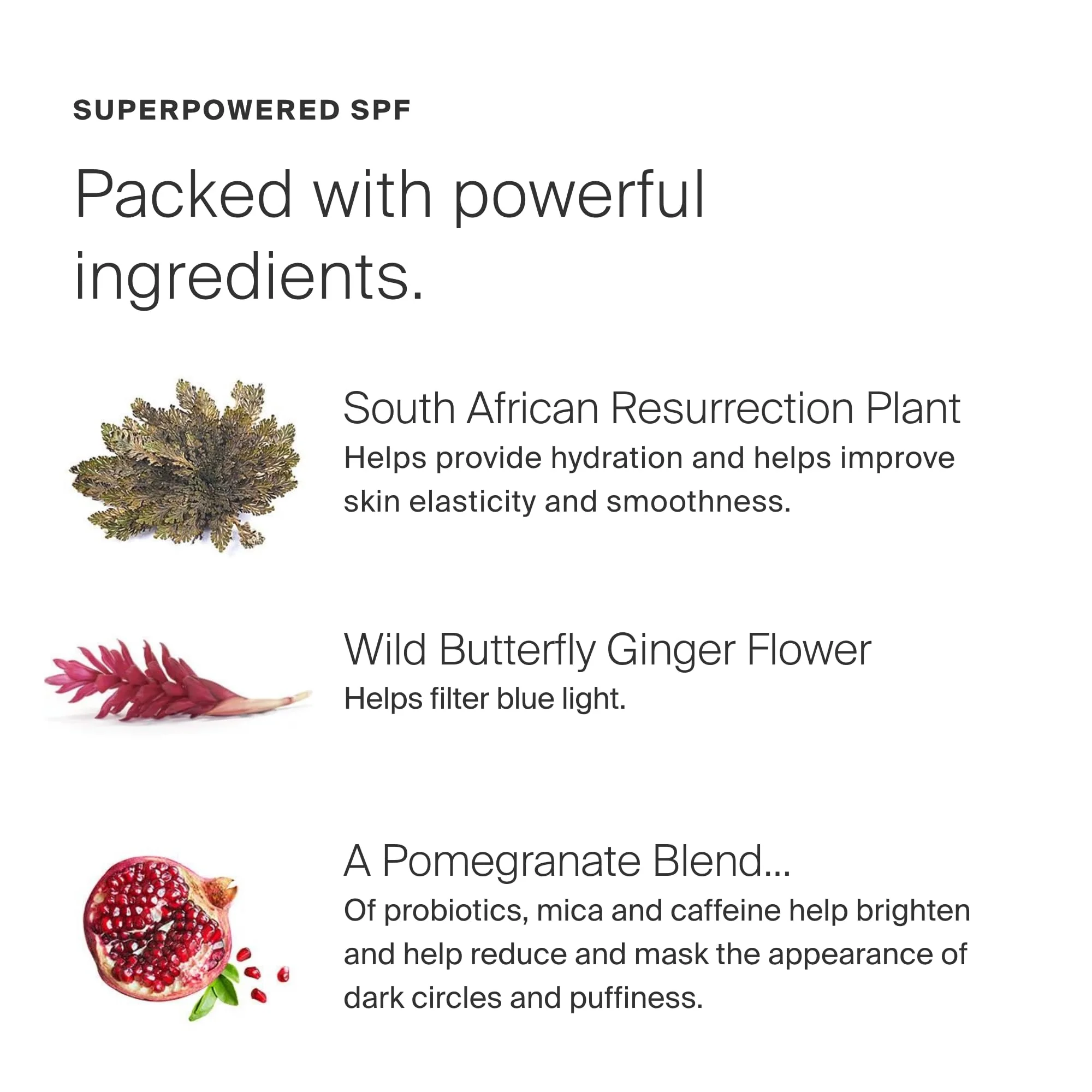 Supergoop! Bright-Eyed Mineral Eye Cream - 0.5 fl oz, Pack of 2 - SPF 40 PA+++ Hydrating & Illuminating Mineral Sunscreen - Under Eye Cream for Dark Circles & Puffiness - Revives Tired Eyes - Image 6