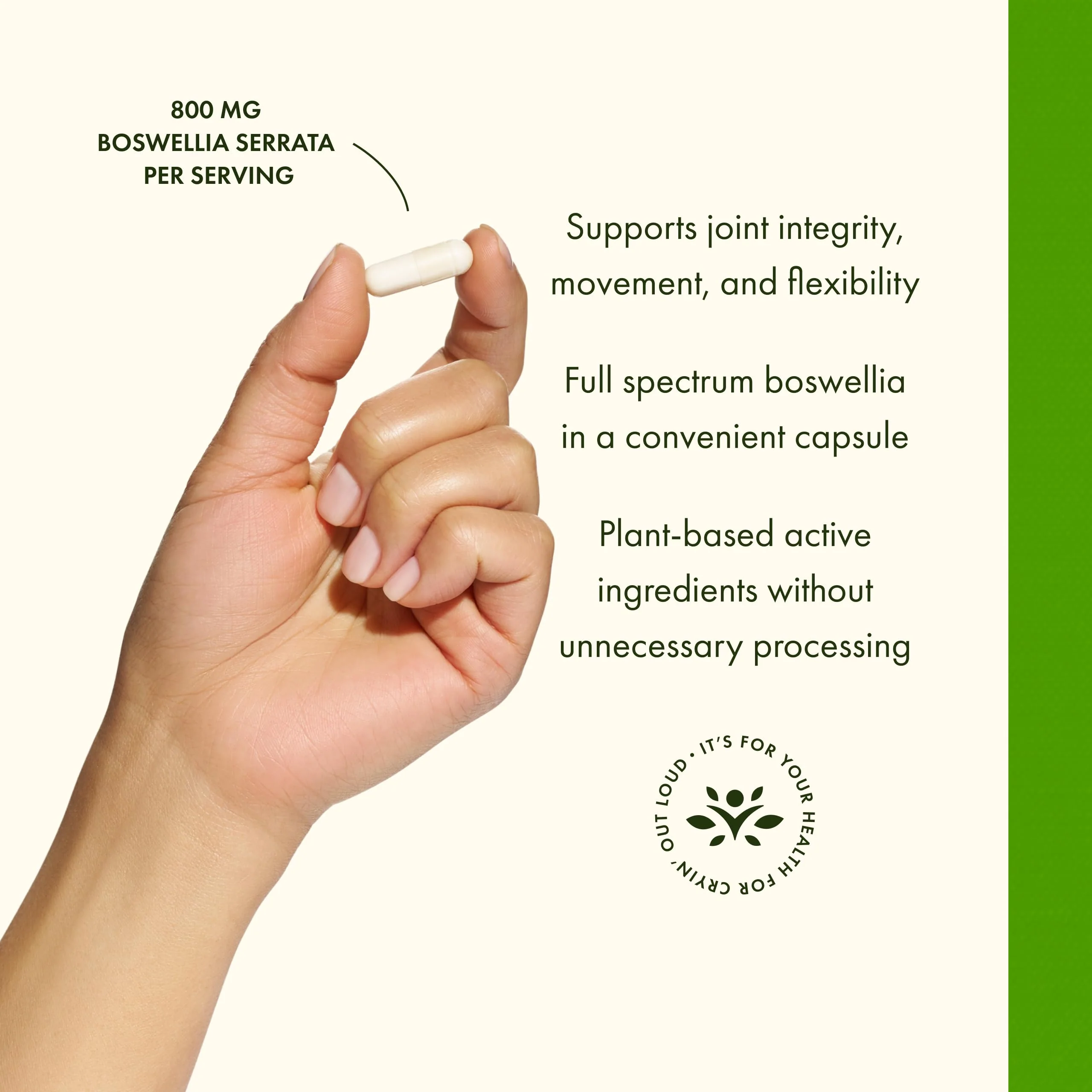 Swanson Full Spectrum Boswellia - Supports Joint Health, Flexibility & Mobility* - Ayurvedic Herb - Plant-Based Formula Without Unnecessary Processing - Non-GMO - 60 Capsules (3 Pack) - Image 5
