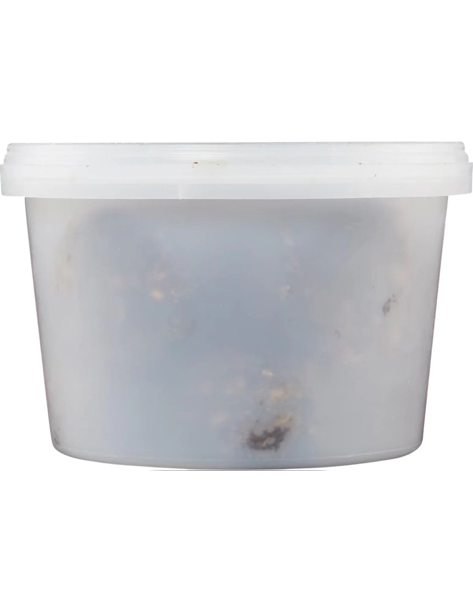 Tack Shack of Ocala Stud Muffins, Horse Treats, Stud Muffins for Horses, Treats for Horses, Horse Cookies, Cookies for Horses, Treats, Pet Supplies, Pet Treat (10oz) - Image 3