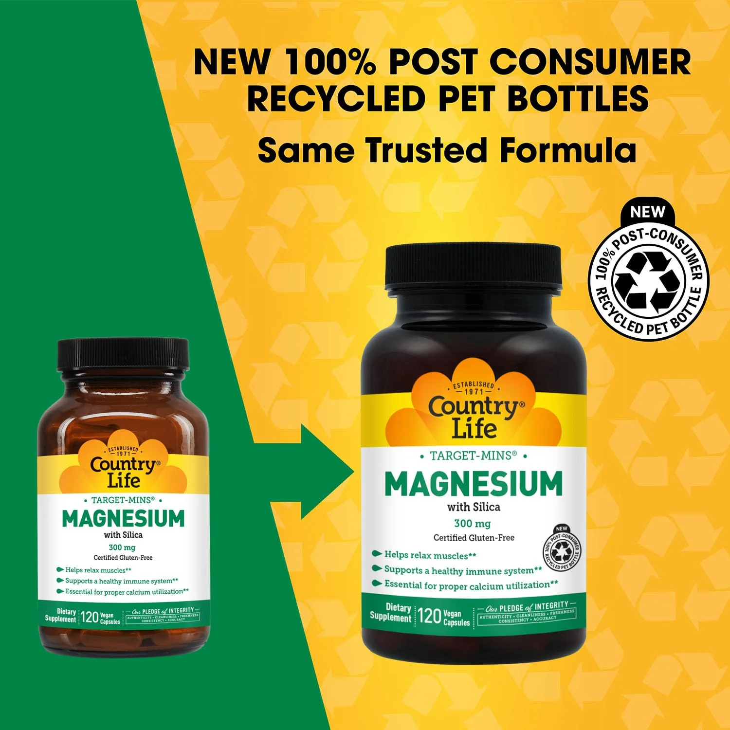 Target-Mins Magnesium with Silica 300 mg 120 Vegetarian Capsules - Image 8