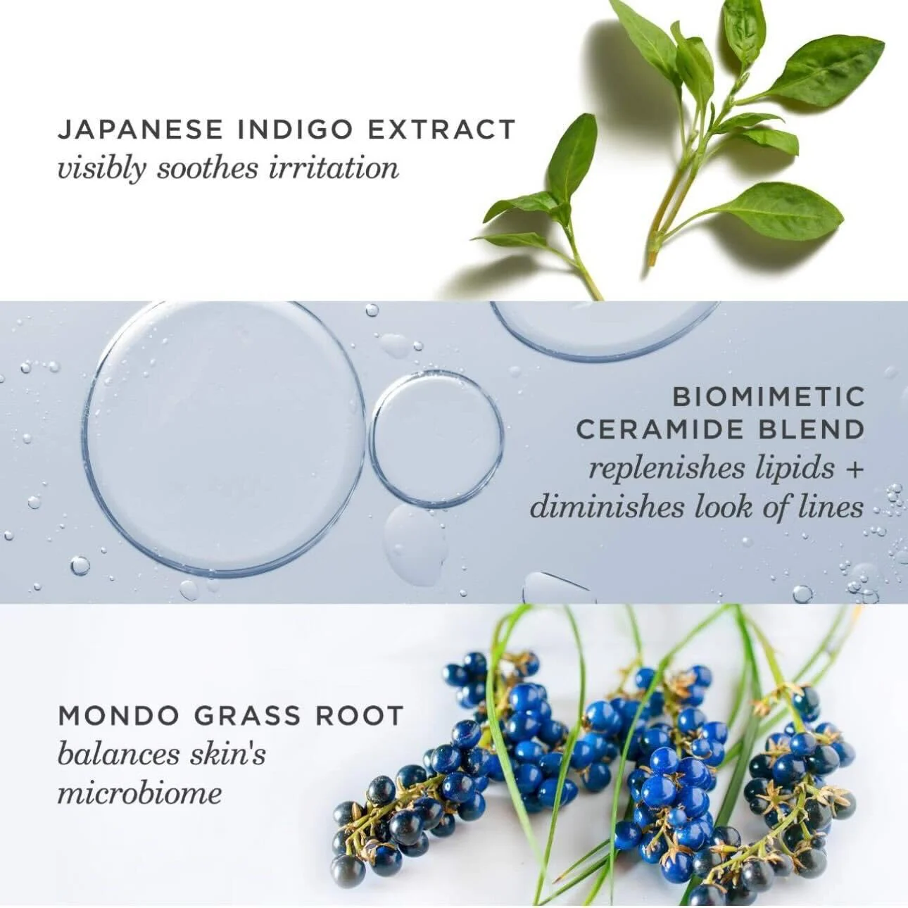 TATCHA Indigo Overnight Repair | Face Cream & Serum Treatment, Fragrance Free Night Cream, 50 ml | 1.7 oz - Image 4