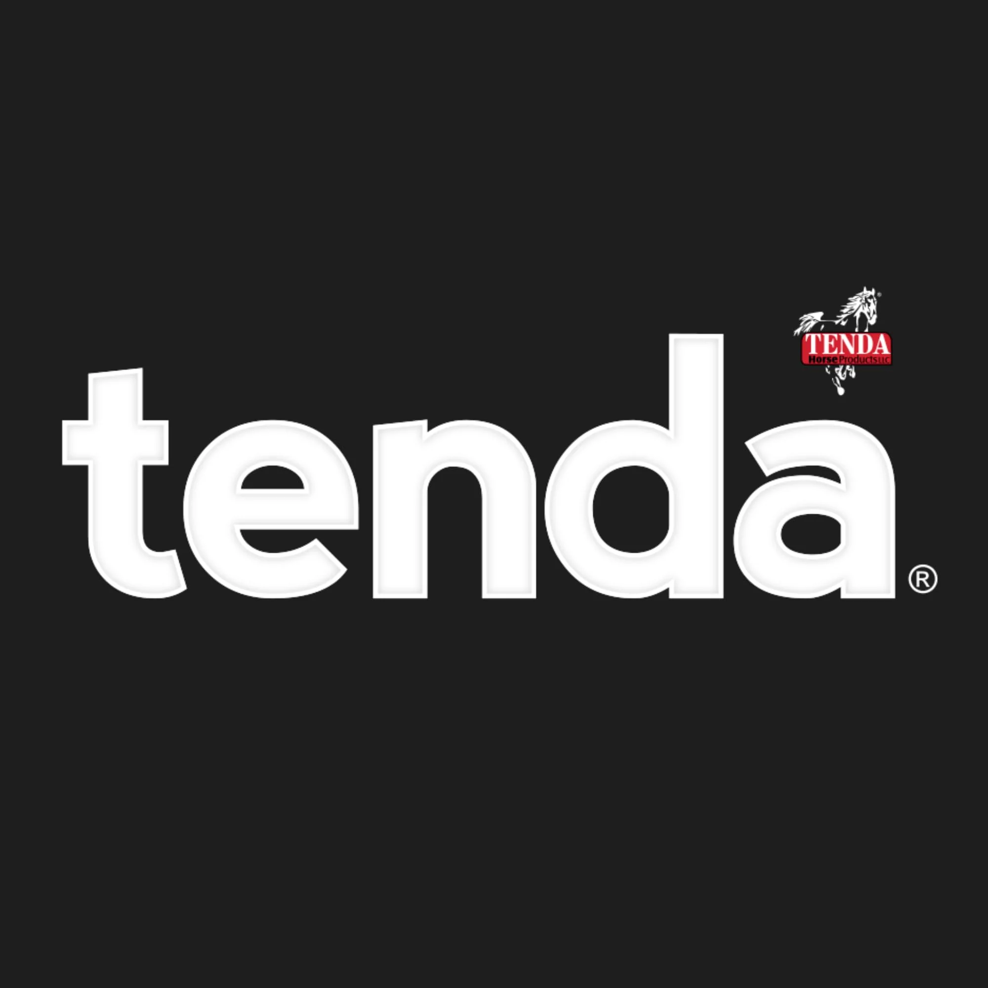 Tenda Energy & Recovery Paste - Fast Finish - A Test Free Pre-Race Paste That is A Superior Source of Energy for The Equine Athlete - Image 2