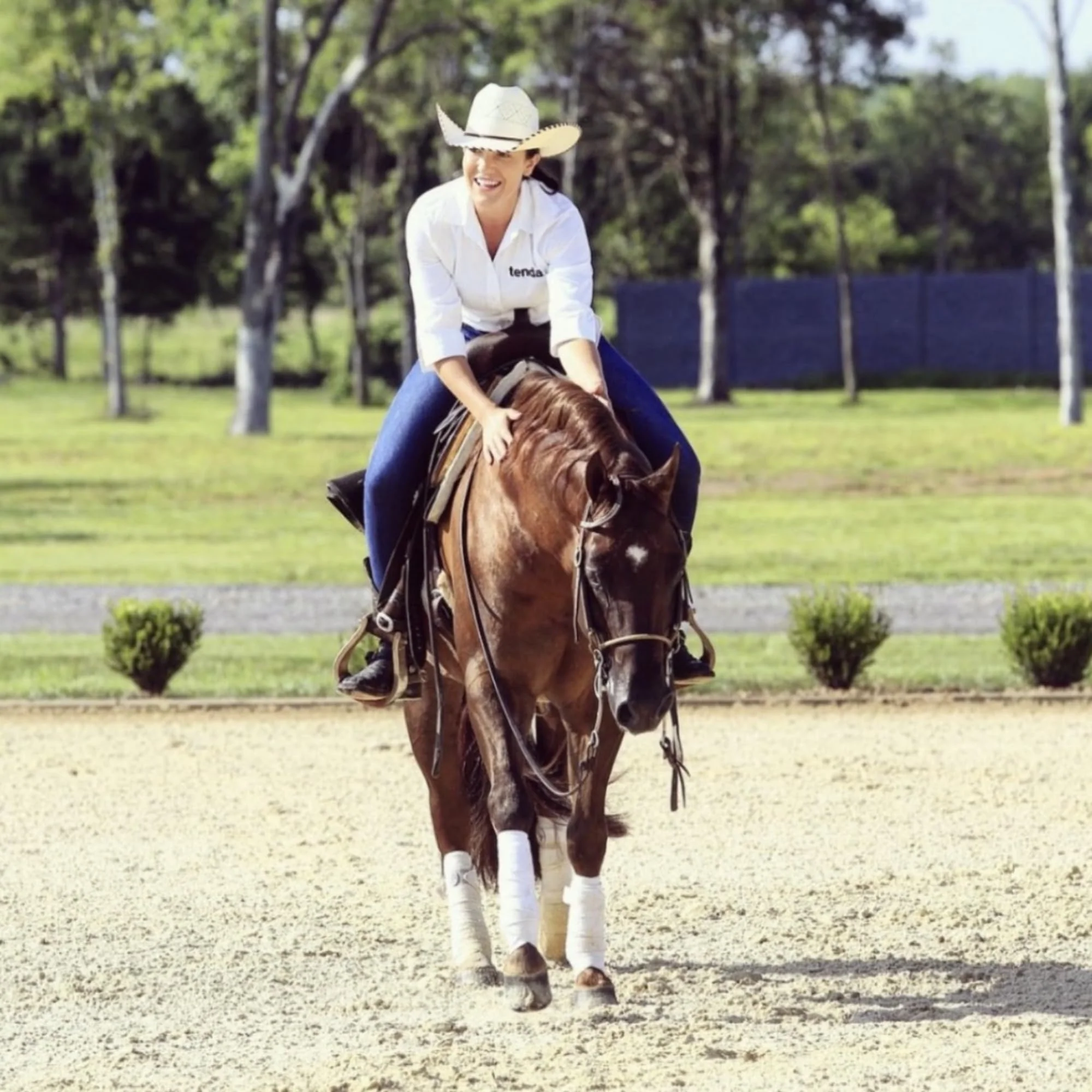 Tenda Energy & Recovery Paste - Fast Finish - A Test Free Pre-Race Paste That is A Superior Source of Energy for The Equine Athlete - Image 5