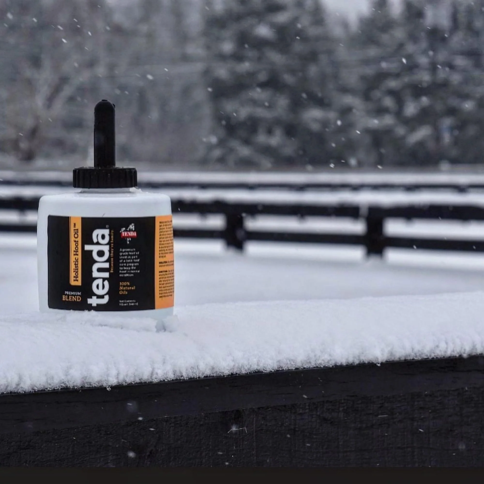 Tenda Holistic Hoof Oil 1qt - Image 4
