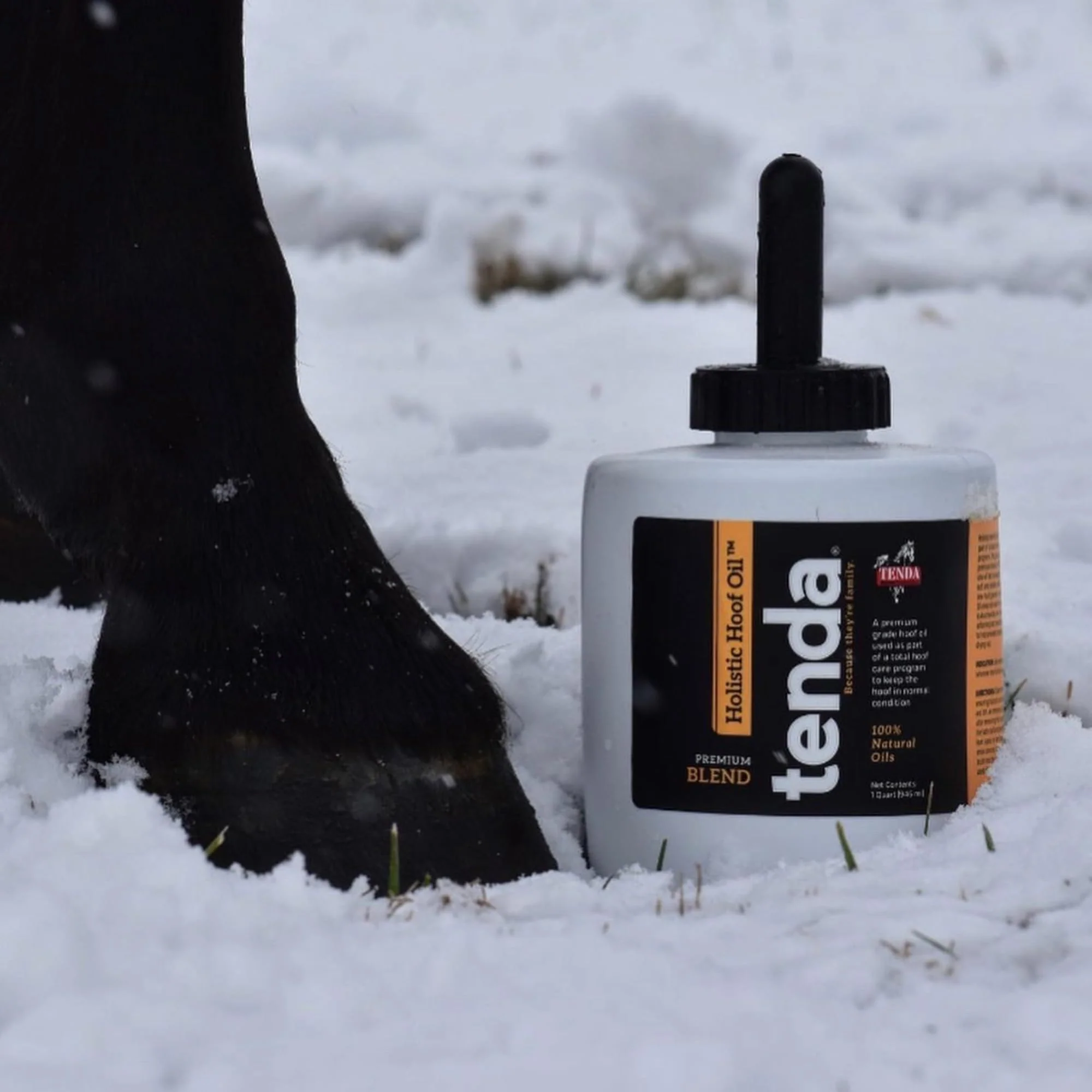 Tenda Holistic Hoof Oil 1qt - Image 5