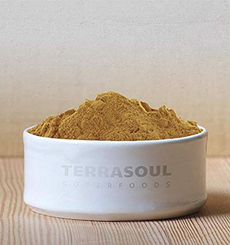 Terrasoul Superfoods Organic Lion's Mane Mushroom Powder (4:1 Extract), 22 Ounces - Image 4