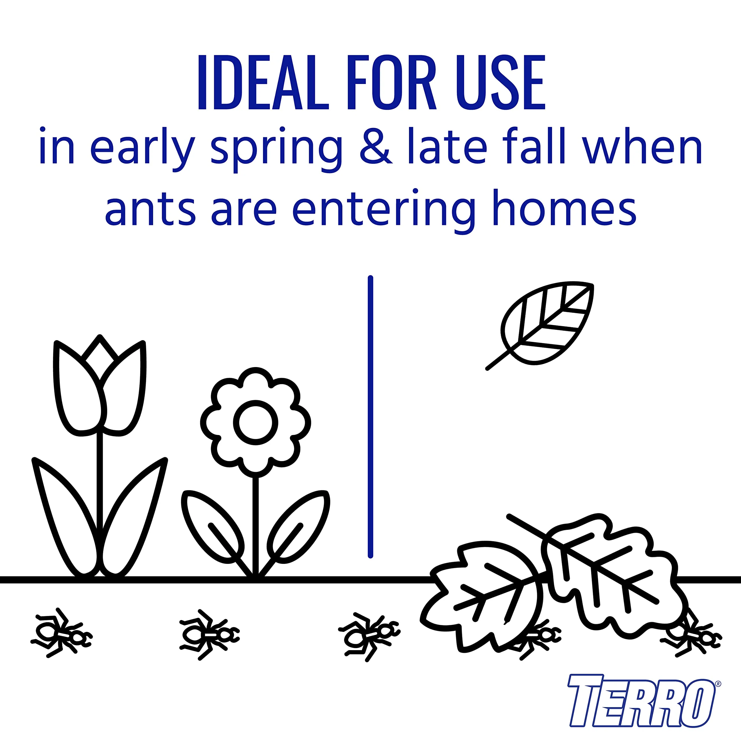 TERRO T1700SR 19 oz Outdoor Ant Killer Spray - Image 3