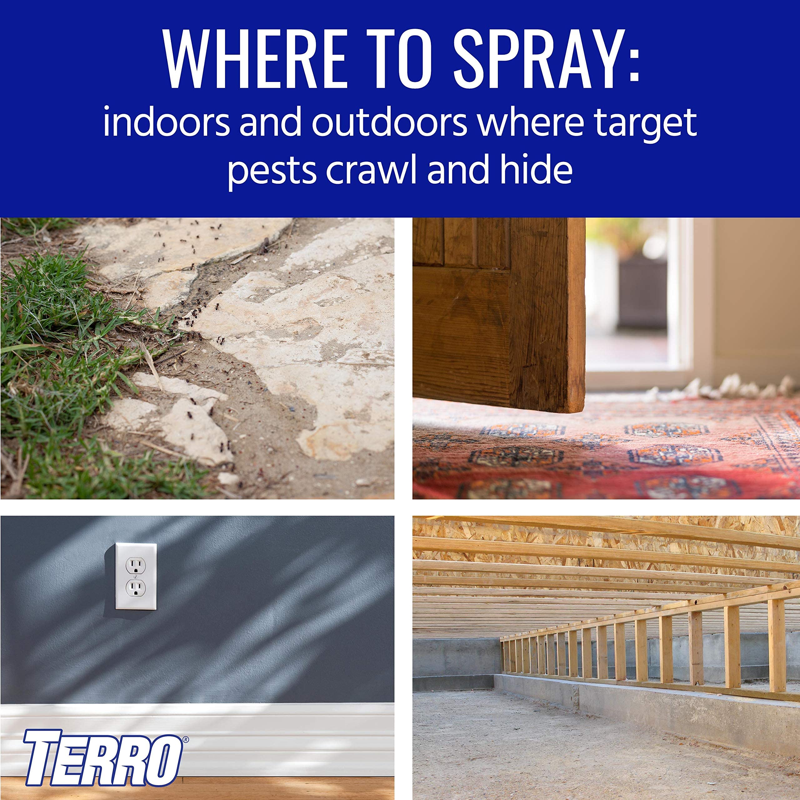 TERRO T2302-6 Spider Killer Spray for Indoors and Outdoors - Kills Spiders, Ants, Roaches, Scorpions, Ticks, Silverfish, and Other Insects - Image 4