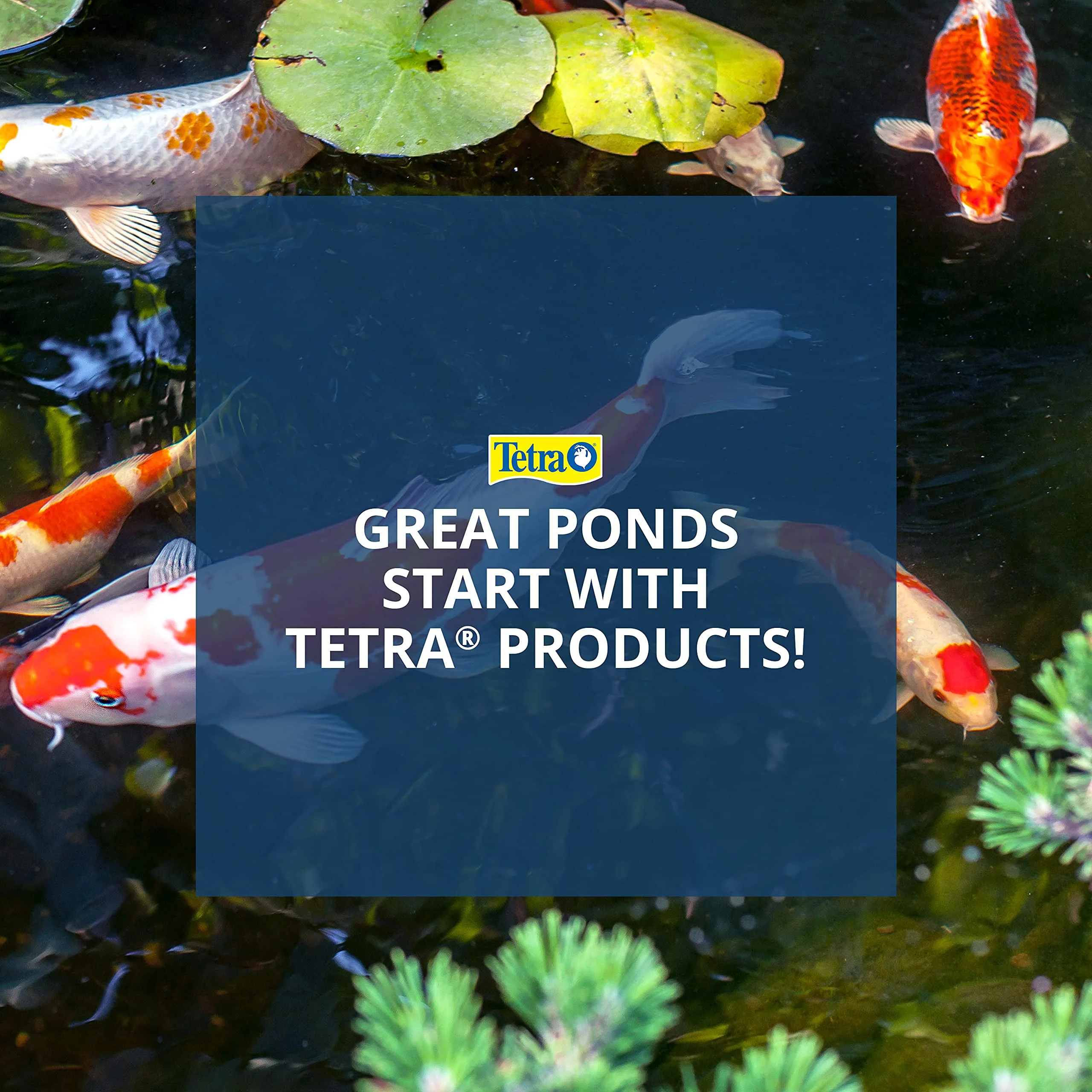 TetraPond Koi Growth 4.85 Pounds, Soft Sticks, Pond Fish Food - Image 2