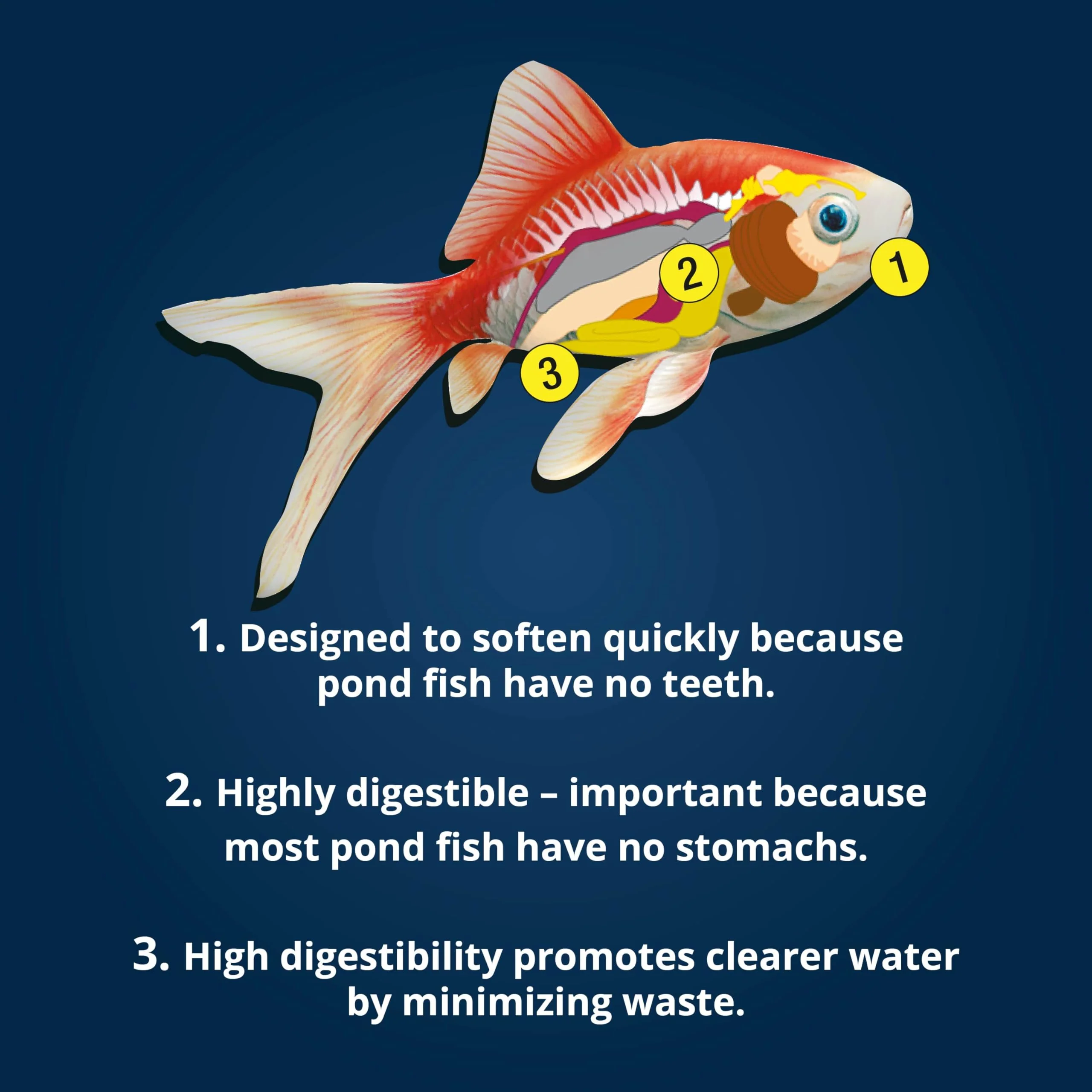 TetraPond Spring And Fall Diet 3.08 Pounds, Pond Fish Food, For Goldfish And Koi, 7 L - Image 4