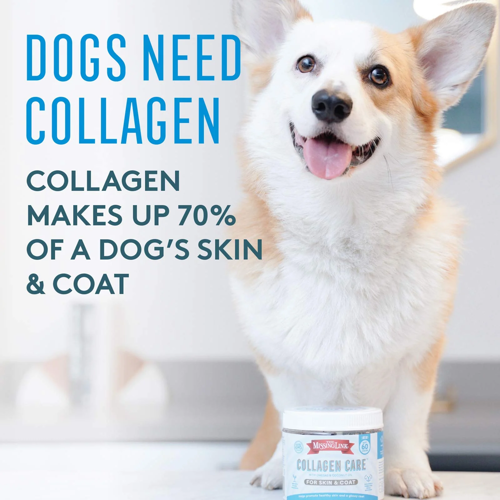 The Missing Link Collagen Care Skin & Coat Soft Chews 60ct - Daily Hair Growth, Healthy Skin & Strong Nails Support for Dogs - Image 8