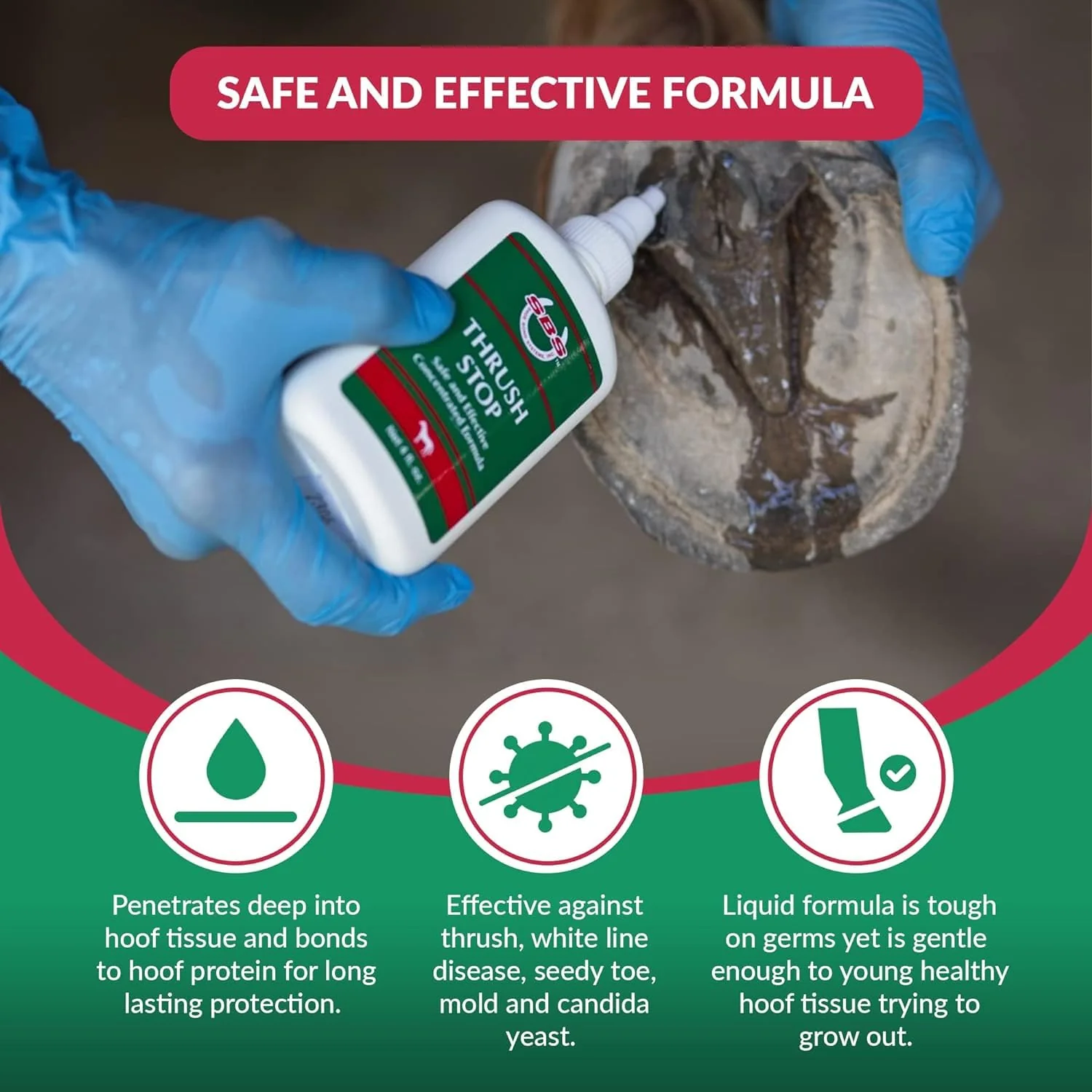 THRUSH STOP SBS Equine Thrush Treatment for Horses for The Finest Horse Care | The Horse-Journal’s Product of The Year and #1 Pick Against Hoof Thrush (8 Fluid Oz) - Image 5