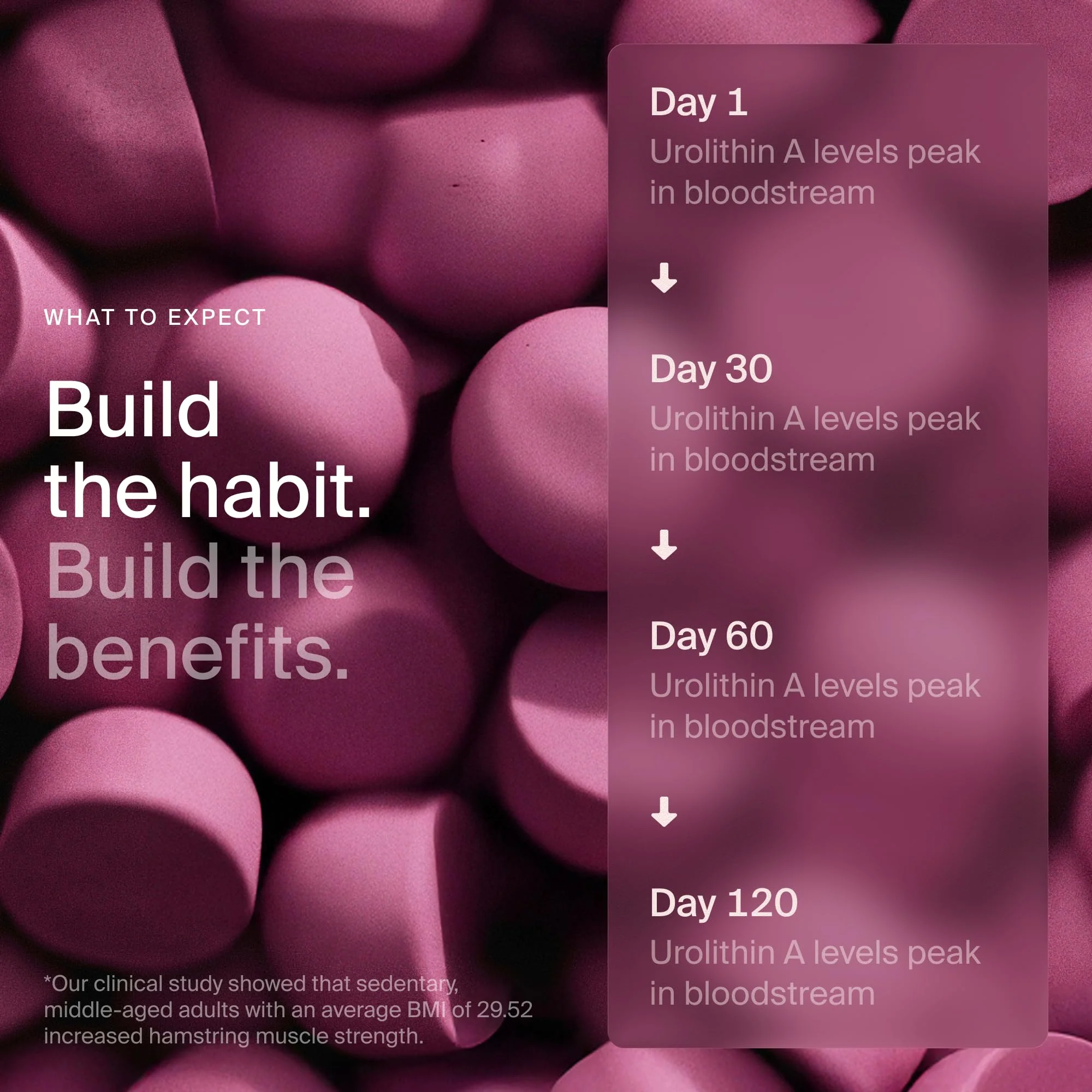 Timeline Mitopure Urolithin A Supplement Gummies - Clinically Proven Support for Healthy Aging Cellular Energy Muscle Strength and Longevity - Image 4