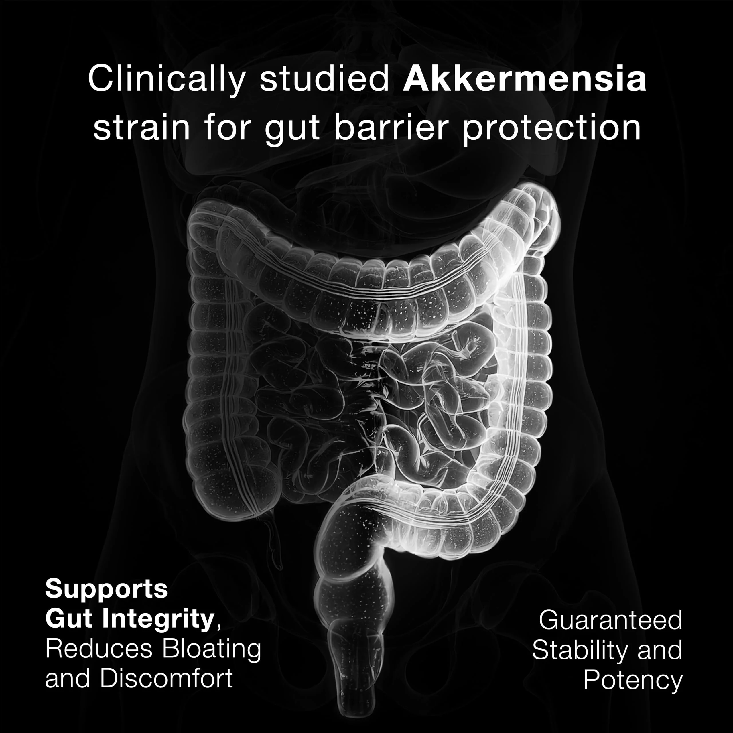 Toniiq Akkermansia Probiotic – 10 Billion TFU – Supports Gut Health & GLP-1 Activity - Image 8
