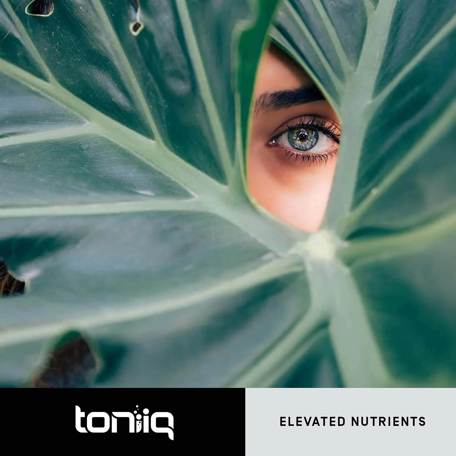 Toniiq Ultra High Purity Resveratrol Capsules - 98% Trans-Resveratrol - Highly Purified and Bioavailable - 180 Caps Reservatrol Supplement - Image 3
