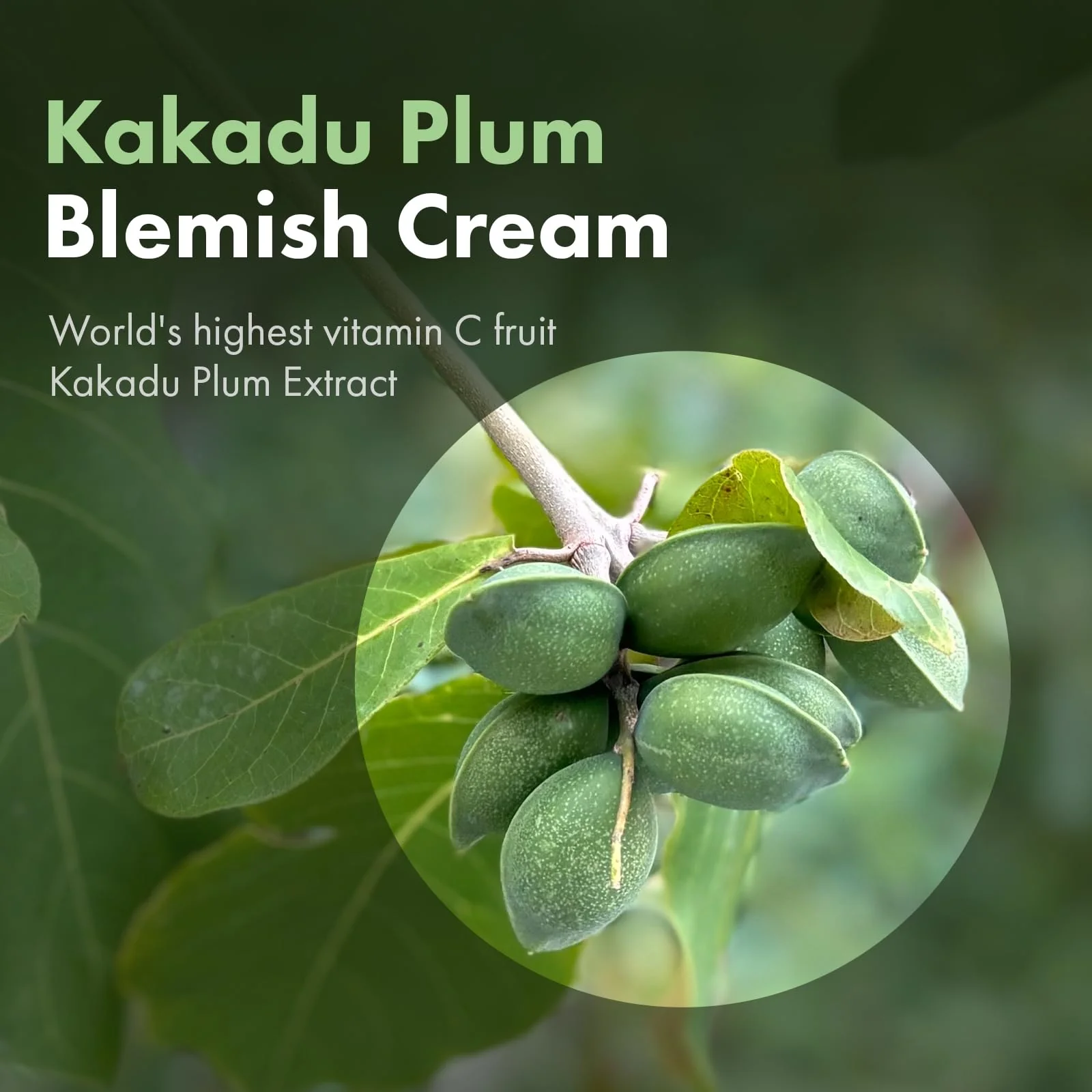 TOSOWOONG Kakadu Plum Blemish Cream, Dark Spot Remover for Face Cream, Kakadu Plum 600,000ppm, Niacinamide, Adenosine, Betaine, Dark Spot Corrector, Vitamin C, Korean Skin Care, 50g, 1.76 oz. - Image 4