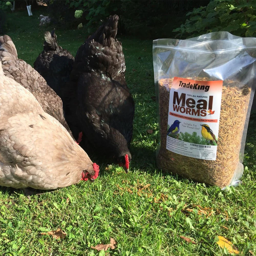 TradeKing 5 lb Dried Mealworms - High Protein Treat for Wild Birds, Chicken, Fish & Reptiles - Image 8