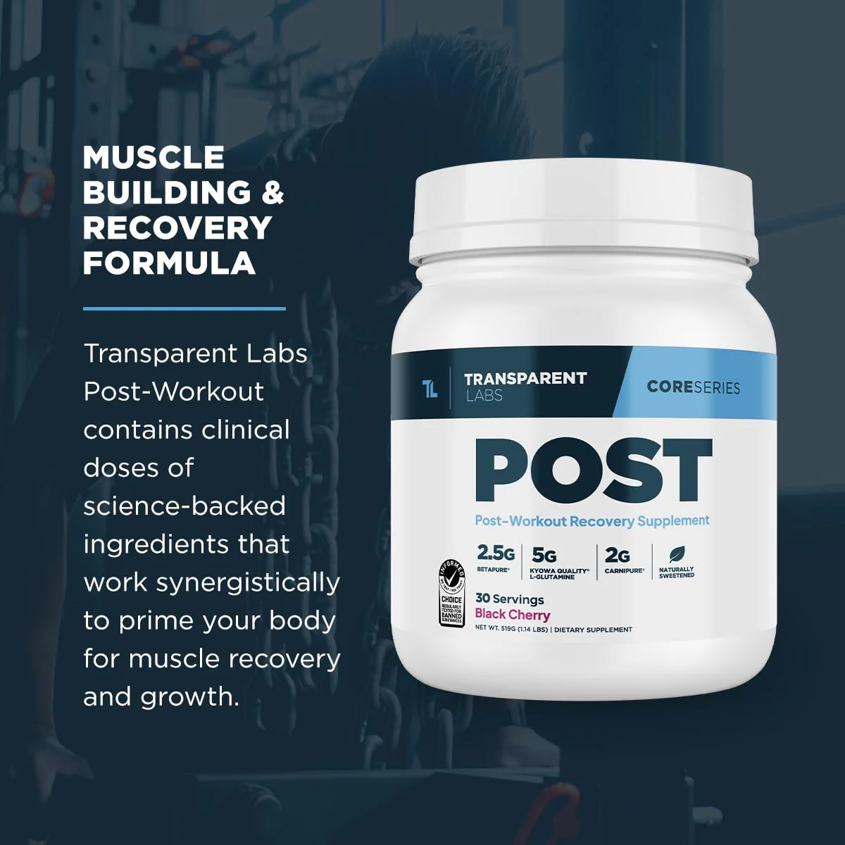 Transparent Labs Post - Post-Workout Recovery Muscle Builder with L-Glutamine, Beta-Alanine and BetaPure Betaine Anhydrous for Muscle Recovery and Muscle Building - 30 Servings, Black Cherry - Image 5
