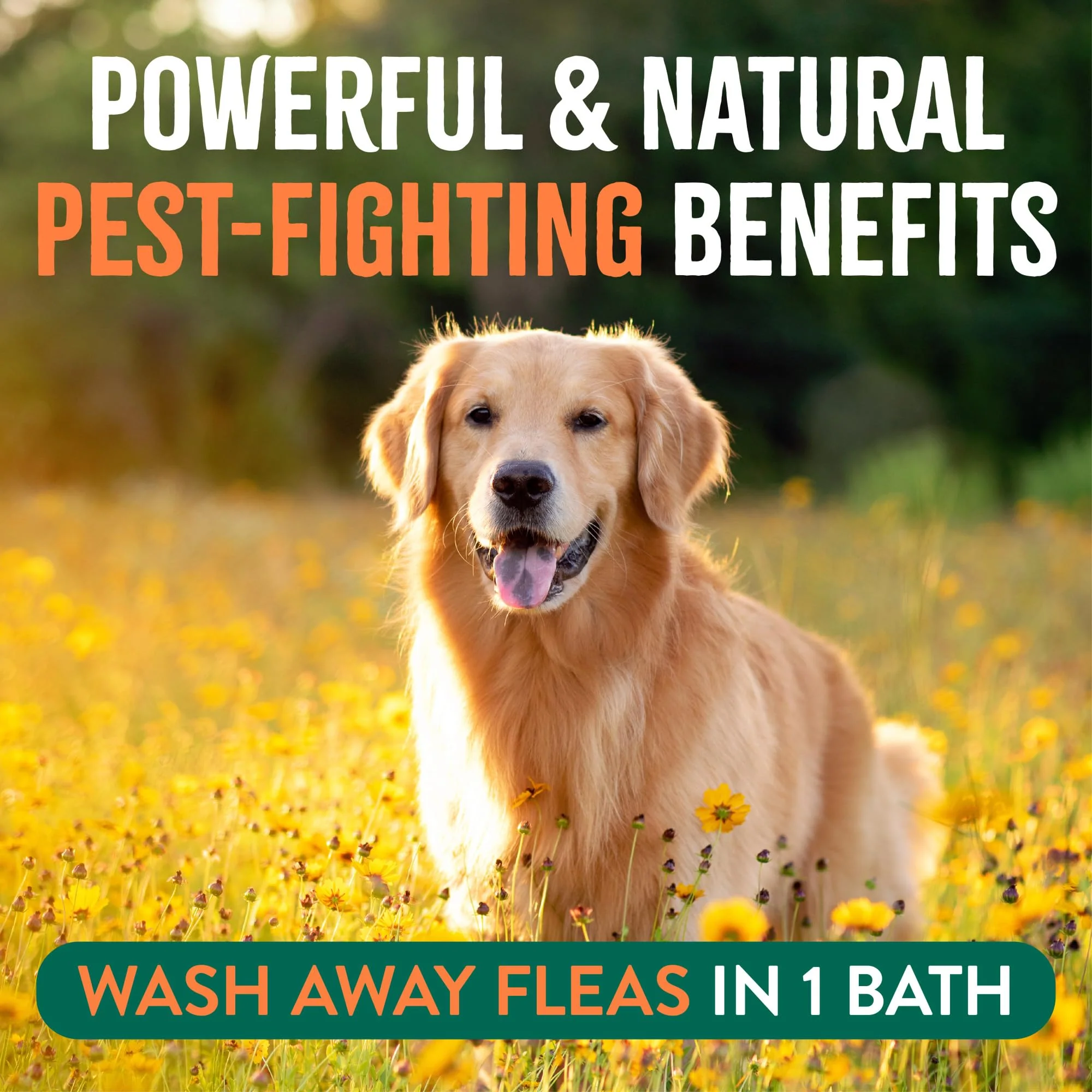 TropiClean Max Strength Flea and Tick Shampoo Treatment for Dogs, Powerful & Natural Defense, Prevention for Large & Small Dogs, Made in USA, 20oz - Image 6