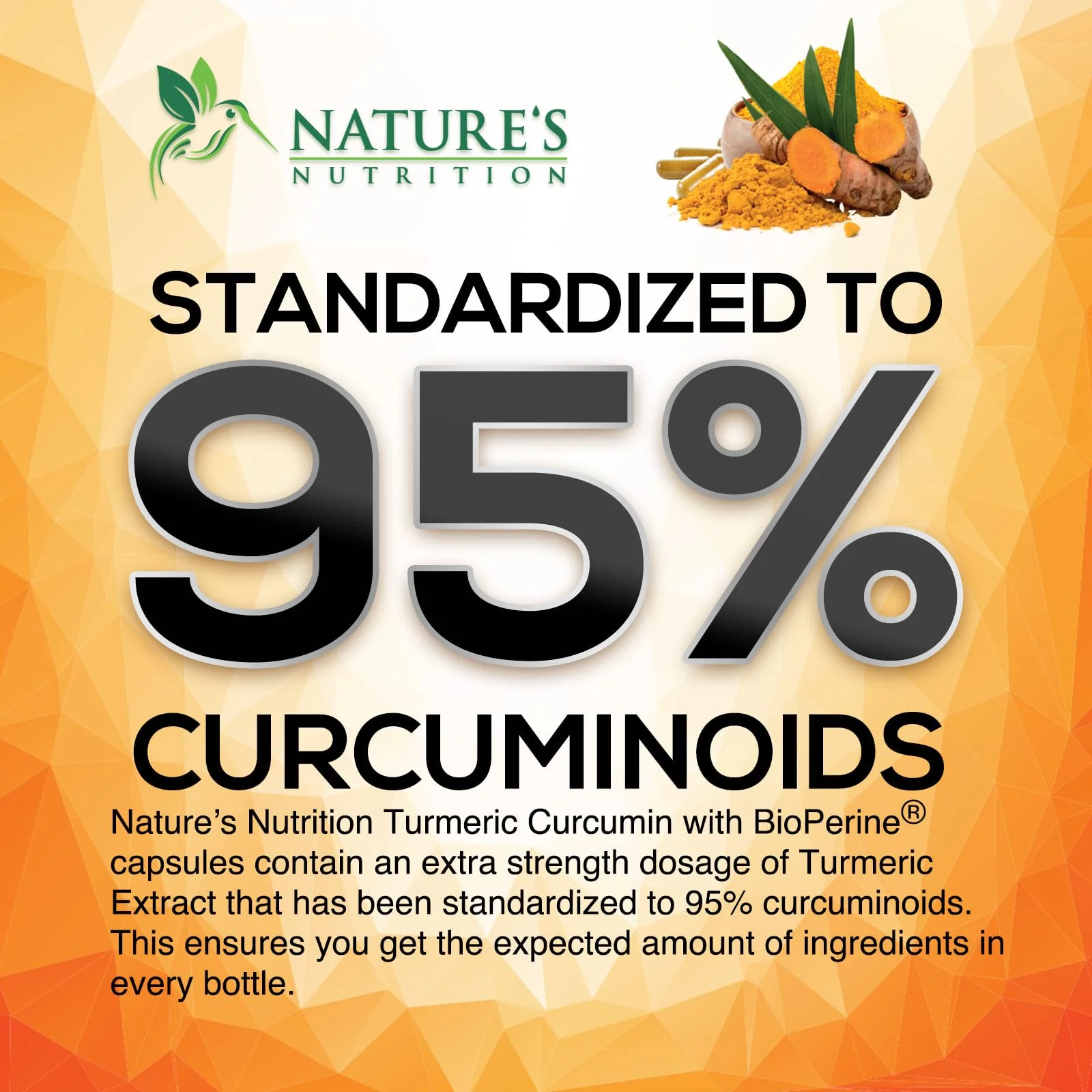 Turmeric Curcumin Supplement - 2400mg Organic Turmeric Per Serving - 95% Curcuminoids & BioPerine Black Pepper Extract for Best Absorption - Natural Vegan Joint Support, Bottled in USA - 240 Capsules - Image 8
