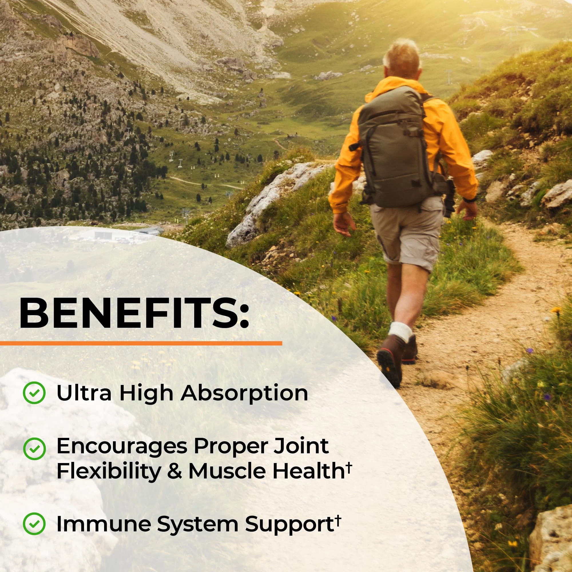 Turmeric Curcumin with Black Pepper Extract 1500mg - High Absorption Ultra Potent Turmeric Supplement with 95% Curcuminoids and BioPerine - Non GMO Tumeric Capsules for Joint Support - 90 Capsules - Image 6