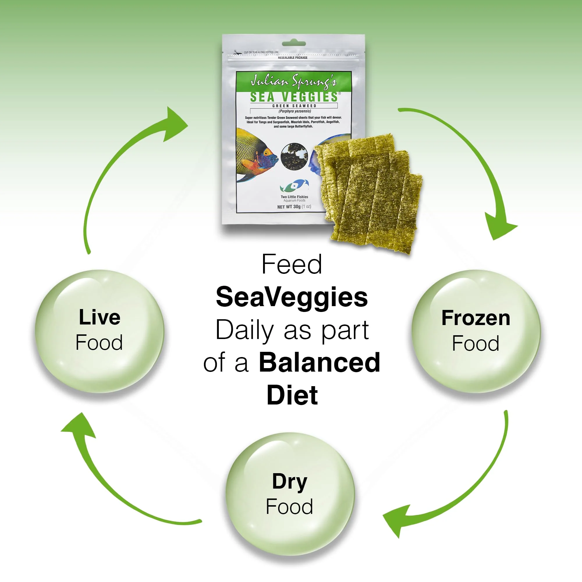 Two Little Fishies Atlsvgs4 Sea Veg-Green Seaweed, 1 Oz - Image 3
