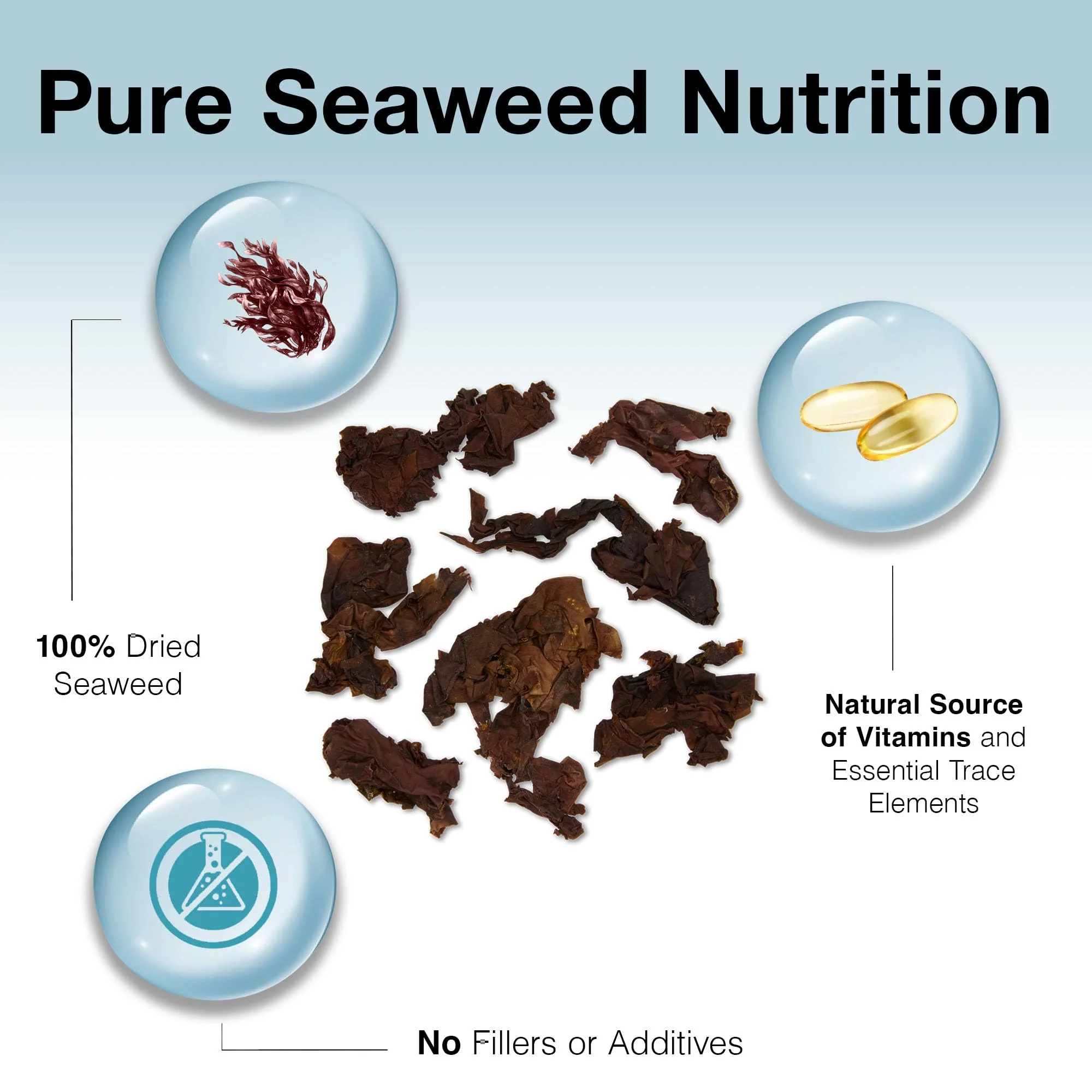 Two Little Fishies ATLSVRS4 Sea Veg-Red Seaweed, 1-Ounce Pouch - Image 7