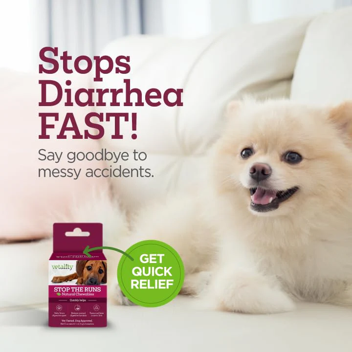 Vetality Stop The Runs | Dog Anti Diarrhea Medicine | 6 Count Chewable | Chicken Flavor - Image 8