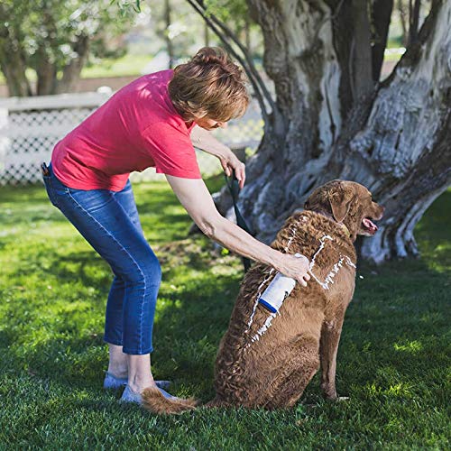 Vetericyn FoamCare Medicated Dog Shampoo - Instant Foaming, Spray-On Hypoallergenic Shampoo, Medicated Formula for Sensitive Skin, Safe for Dogs and Cats. 16 Ounce - Image 2