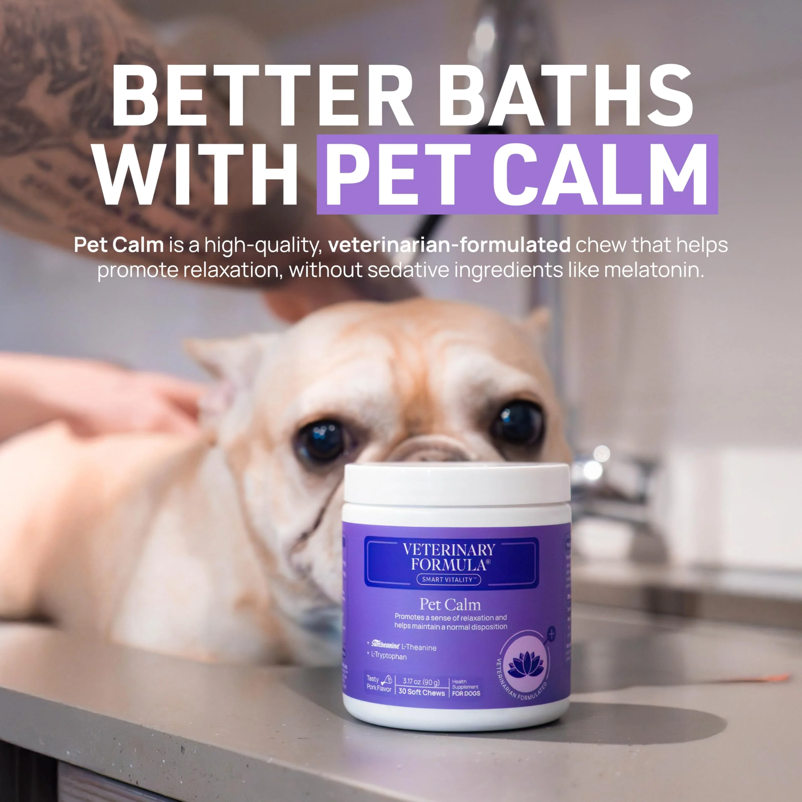 Veterinary Formula Clinical Care Antiseptic and Antifungal Medicated Shampoo for Dogs & Cats, 16 Fl Oz – Helps Alleviate Scaly, Greasy, red Skin – Paraben, Dye, Soap-Free (1 Pack) - Image 2