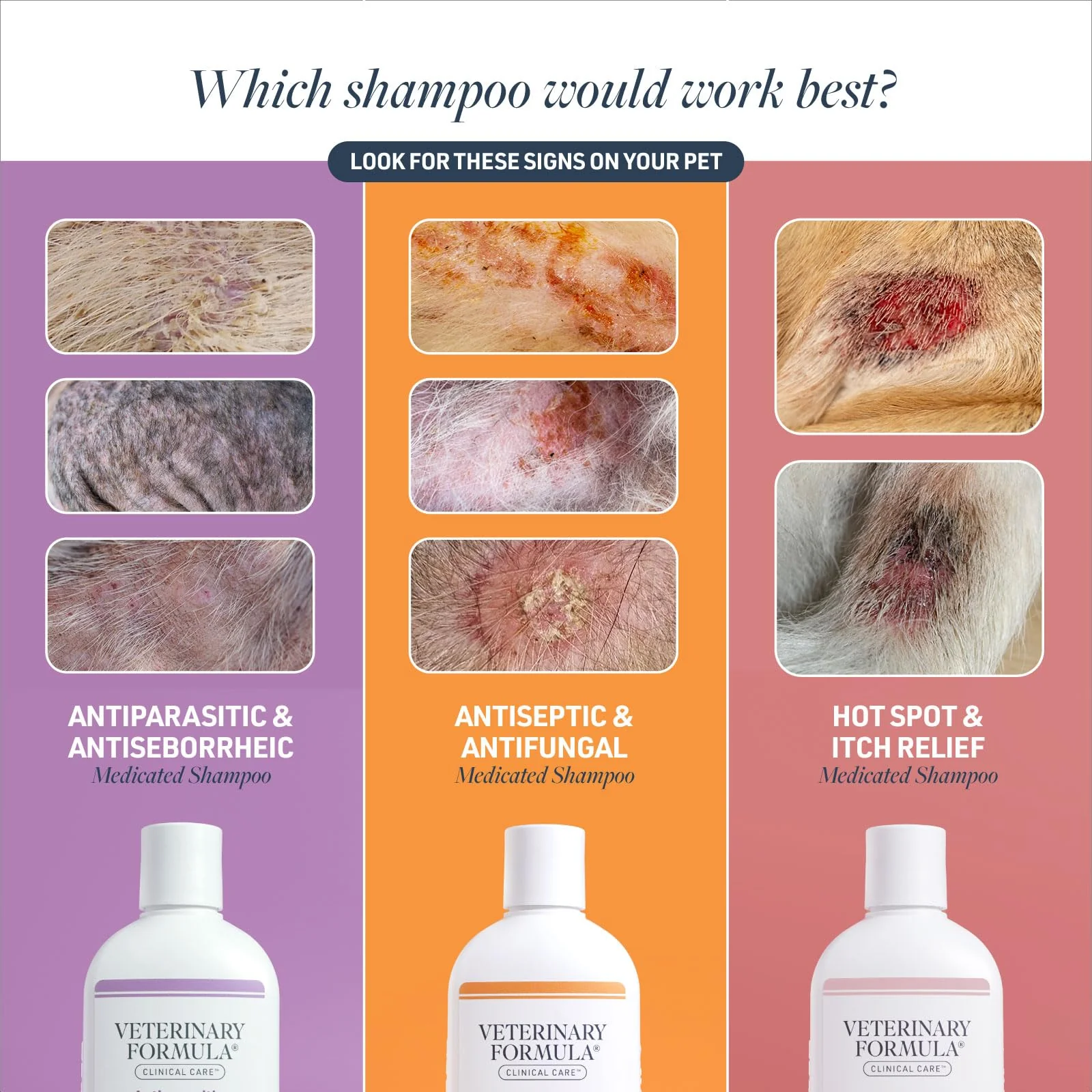 Veterinary Formula Clinical Care Antiseptic and Antifungal Medicated Shampoo for Dogs & Cats, 16 Fl Oz – Helps Alleviate Scaly, Greasy, red Skin – Paraben, Dye, Soap-Free (1 Pack) - Image 6