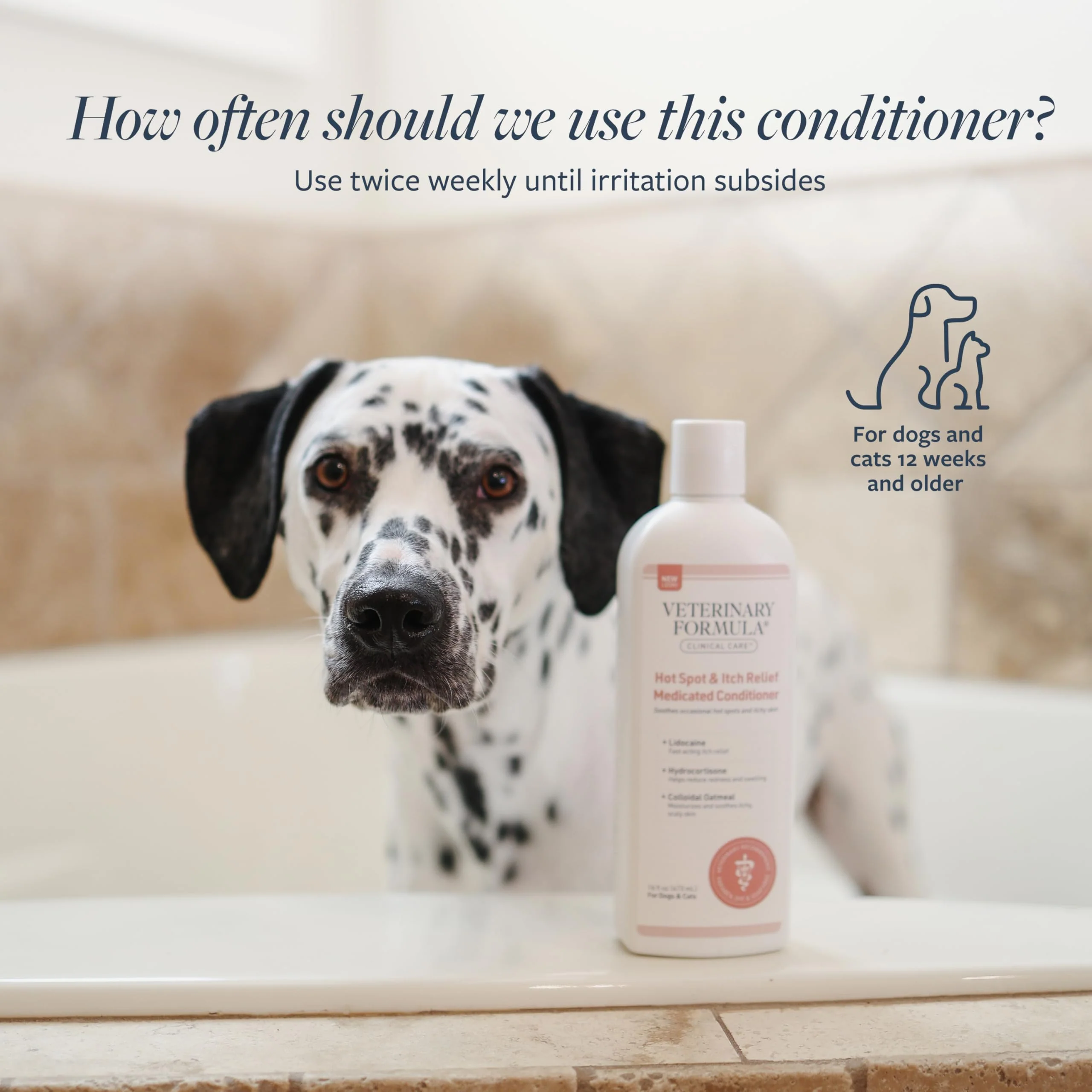 Veterinary Formula Clinical Care Hot Spot & Itch Relief Cat & Dog Medicated Conditioner, 16 oz – Oatmeal Conditions Skin for a Lustrous Coat, Formulated to Help Alleviate Itchy Skin - Image 4