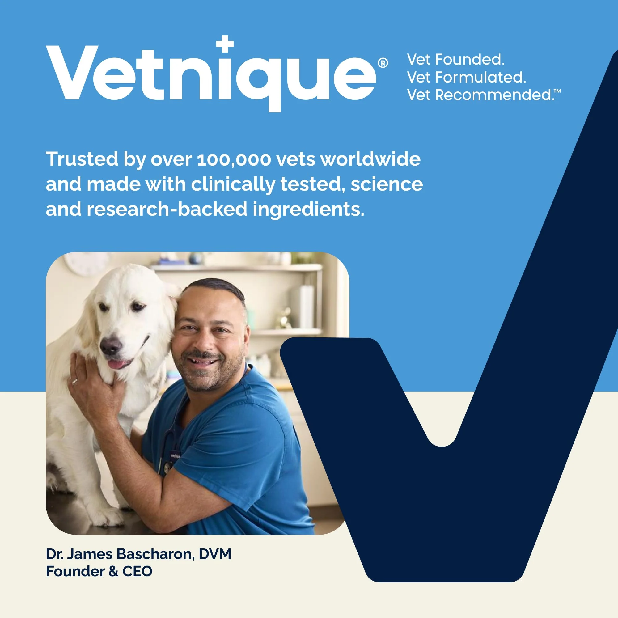 Vetnique Glandex Anal Gland Soft Chew Treats with Pumpkin for Dogs Digestive Enzymes, Probiotics Fiber Supplement for Dogs Boot The Scoot (Peanut Butter Chews, 60 Count) - Image 2
