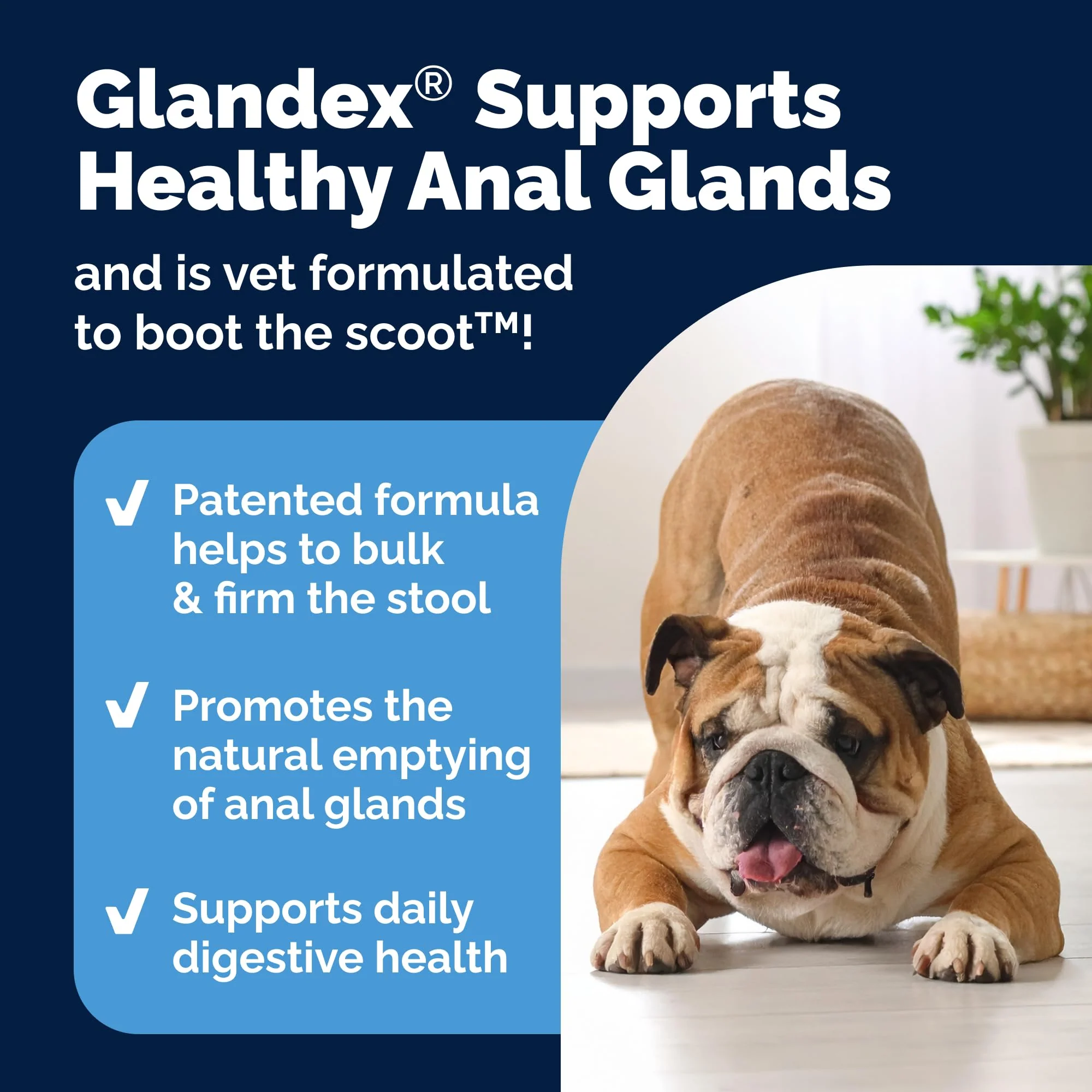 Vetnique Glandex Anal Gland Soft Chew Treats with Pumpkin for Dogs Digestive Enzymes, Probiotics Fiber Supplement for Dogs Boot The Scoot (Peanut Butter Chews, 60 Count) - Image 6
