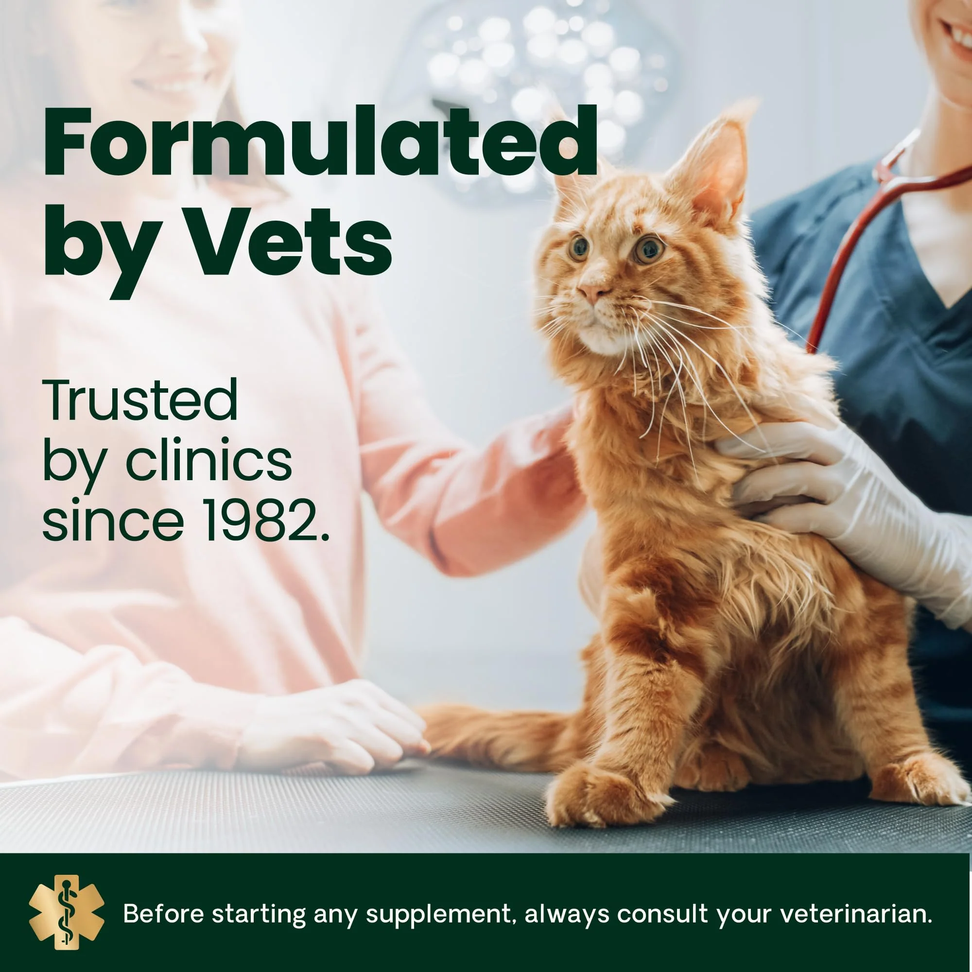 VetriScience Hairball Control Chews for Cats, Omega-3 and Fiber Supplement, Support Digestion and Skin and Coat, Tasty Small Bites, Chicken, 60 Count - Image 4