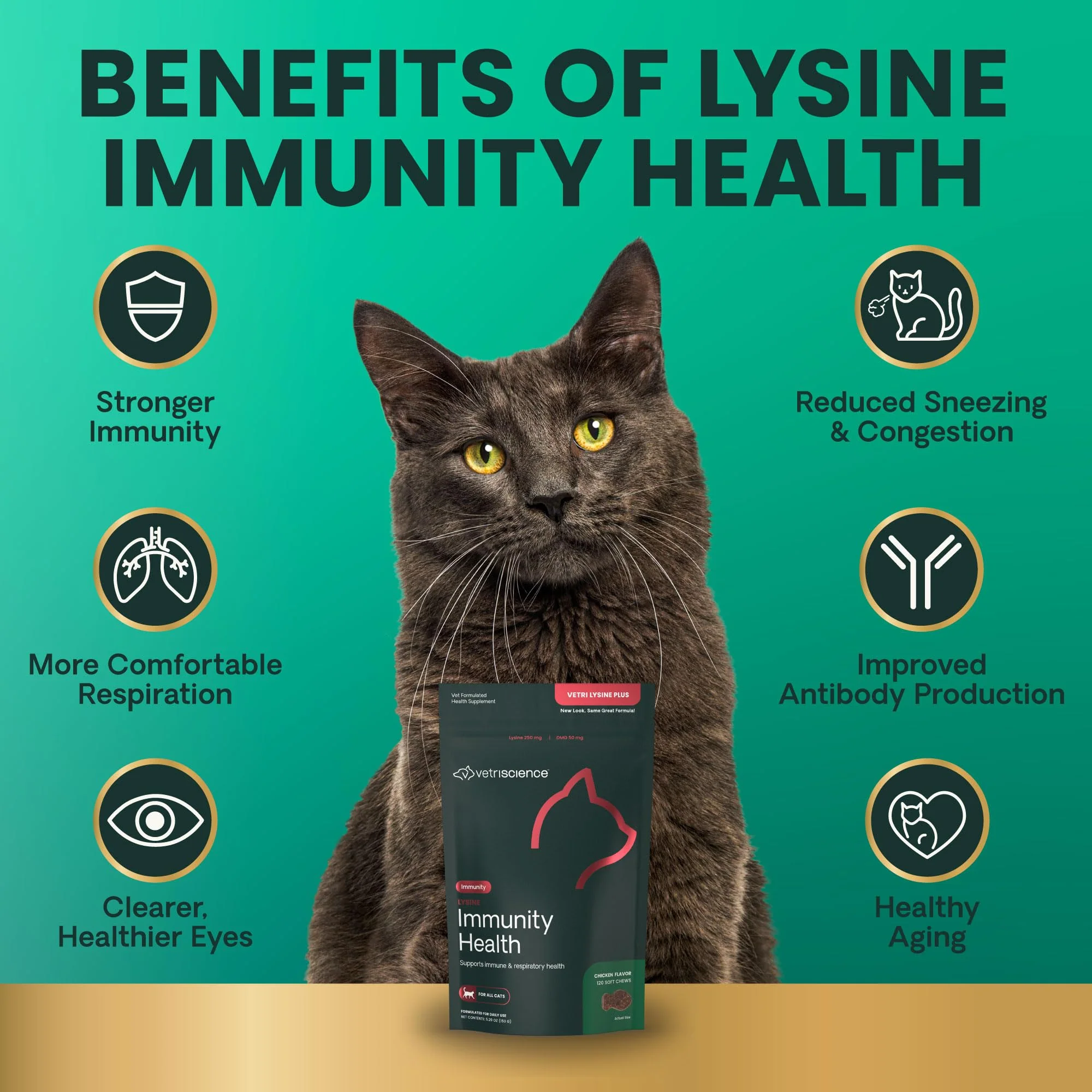 VetriScience Lysine Immunity Health Chews, 250 mg Immune Supplement for Cats and Kittens with Allergies, Sneezing, Runny Nose and Watery Eyes, Chicken, 90 Count - Image 6