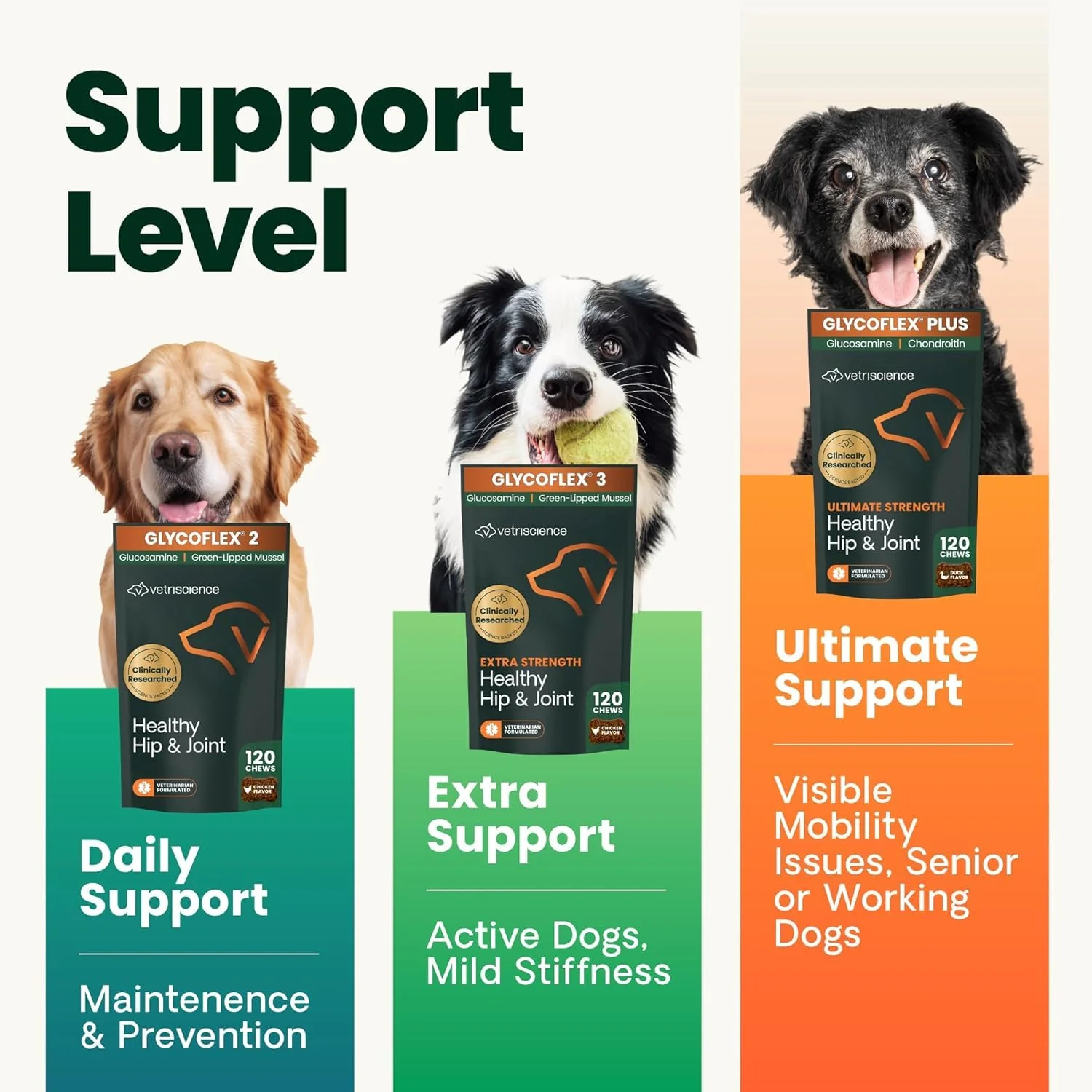 VetriScience Ultimate Strength Healthy Hip & Joint Chews, GlycoFlex Glucosamine, Chondroitin and Green-Lipped Mussel Joint Support Supplement for Dogs, Soothe Joint Discomfort, Duck, 60 Count - Image 12