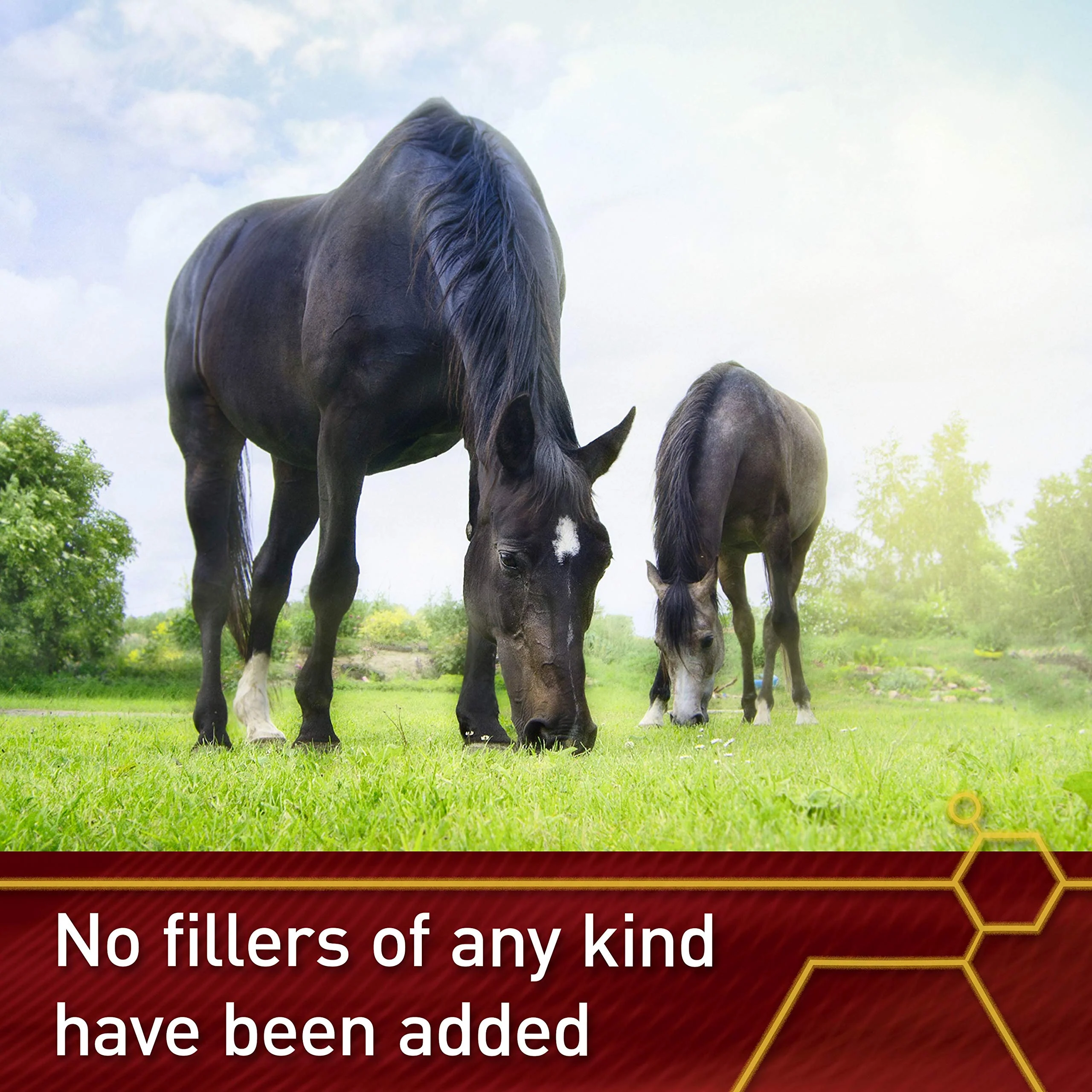 Vita Flex Pro Pure C Premium Quality Horse Vitamin C, 2 Pounds, 128-Day Supply - Image 6